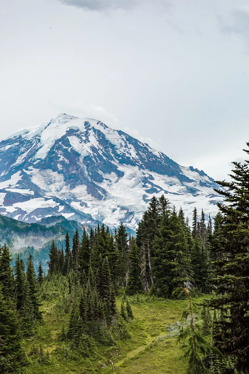 rainier-5300.jpg