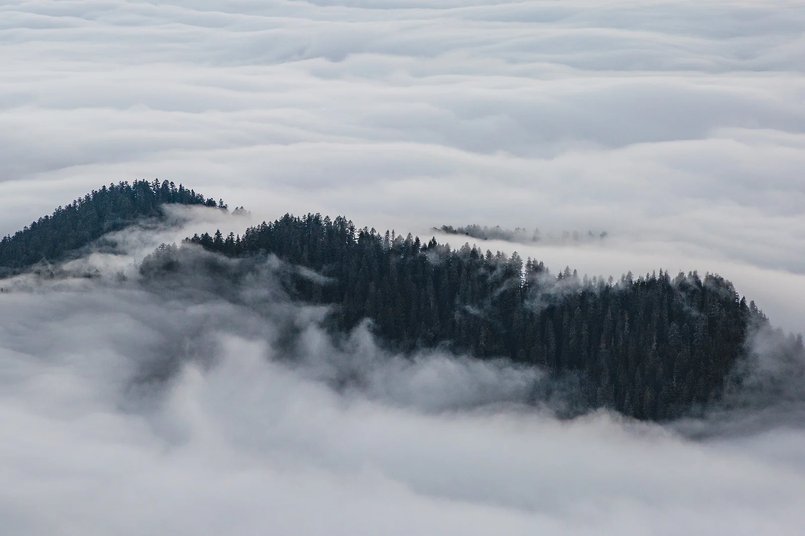 rainier-5330-3.jpg