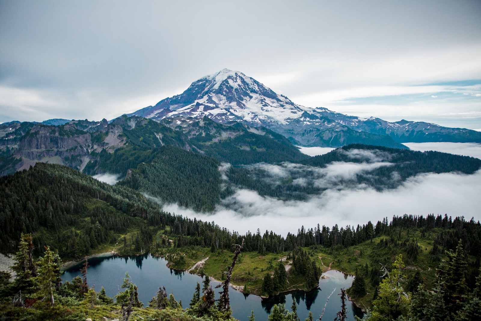 rainier-5348.jpg