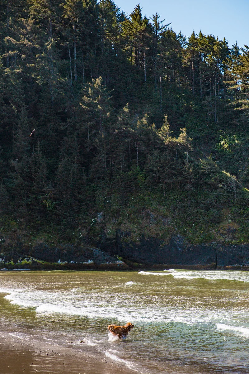 oregoncoast-5620.jpg