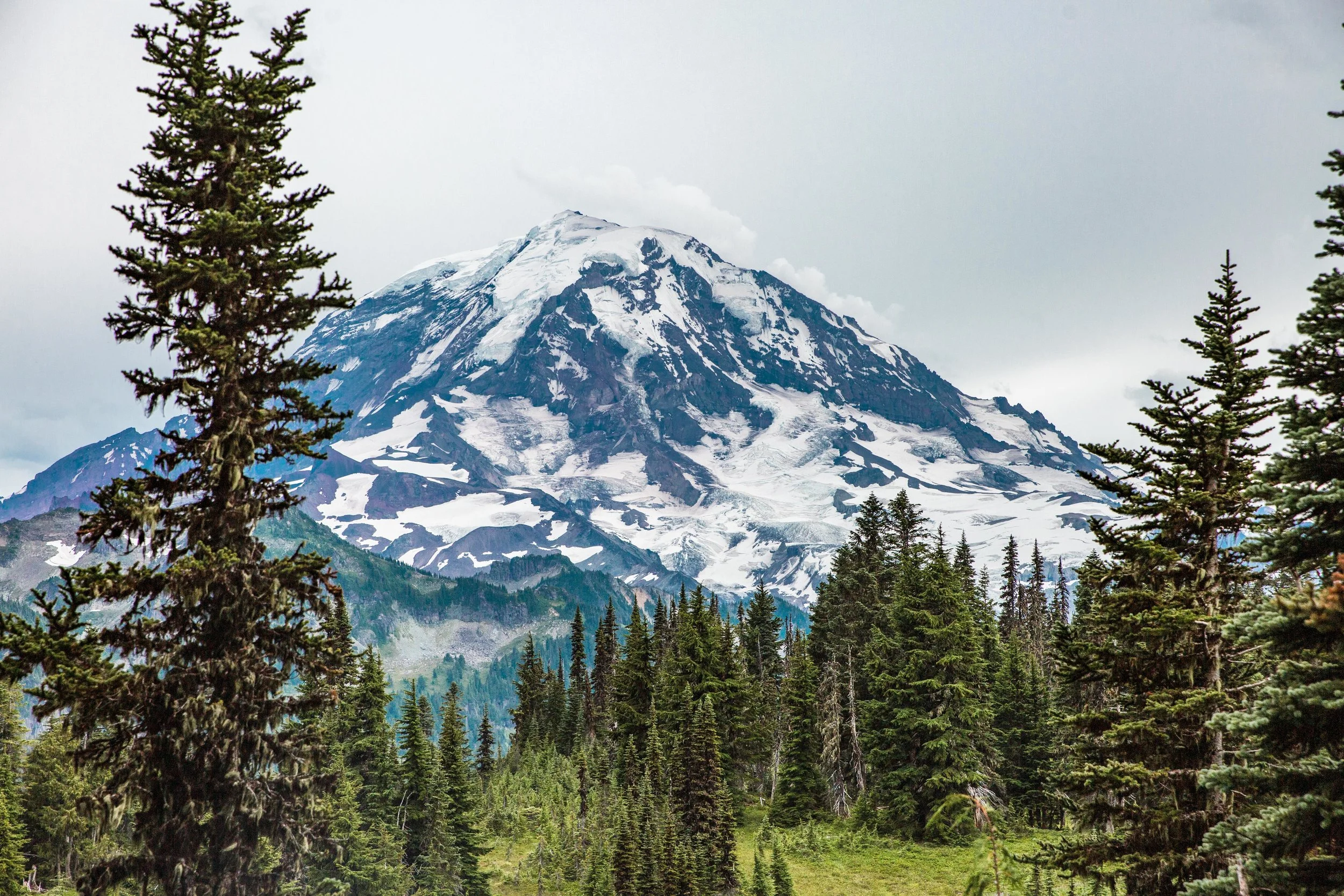 rainier-5301.jpg