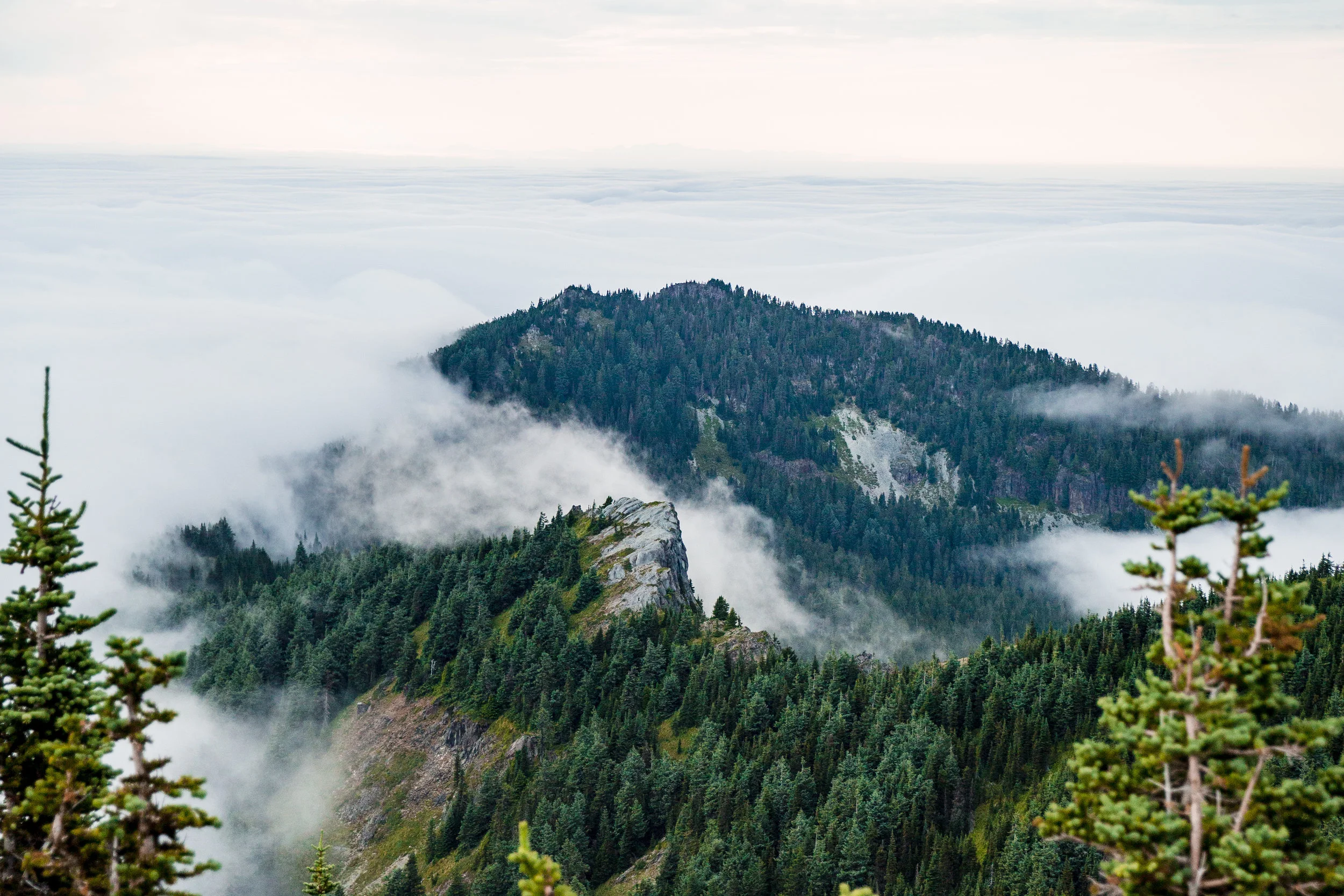 rainier-5391-2.jpg
