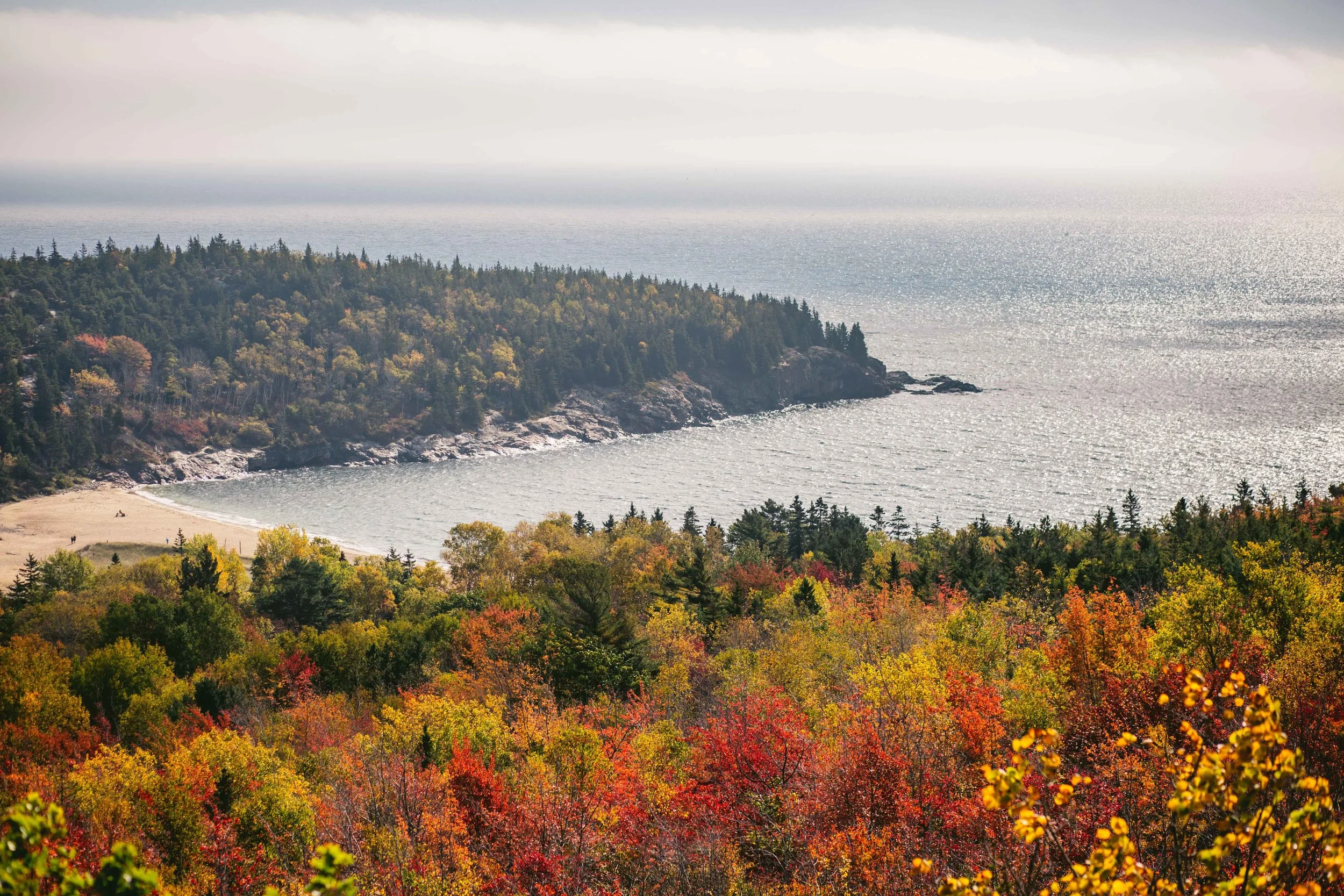 acadia-5839.jpg