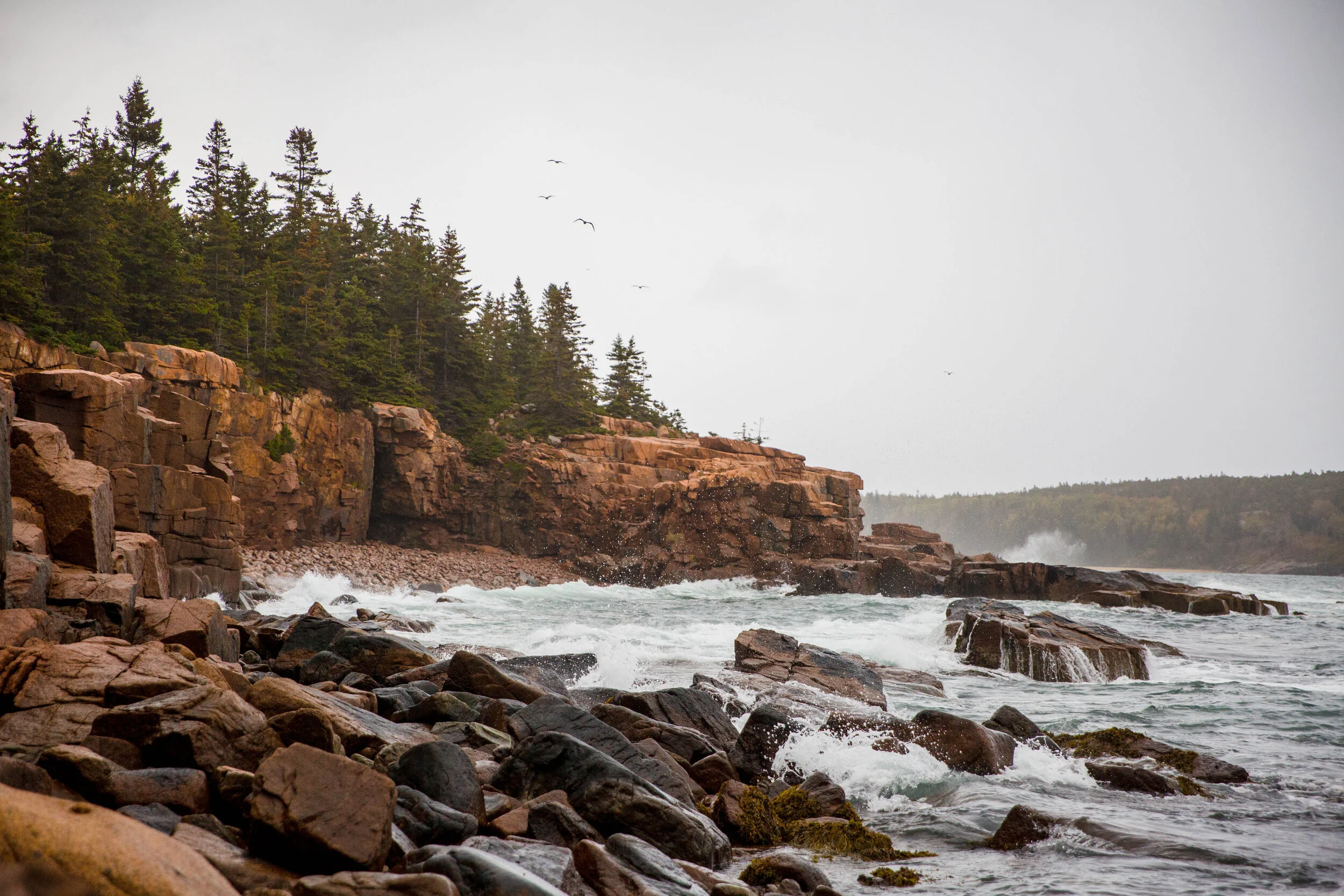 acadia2019-0955.jpeg