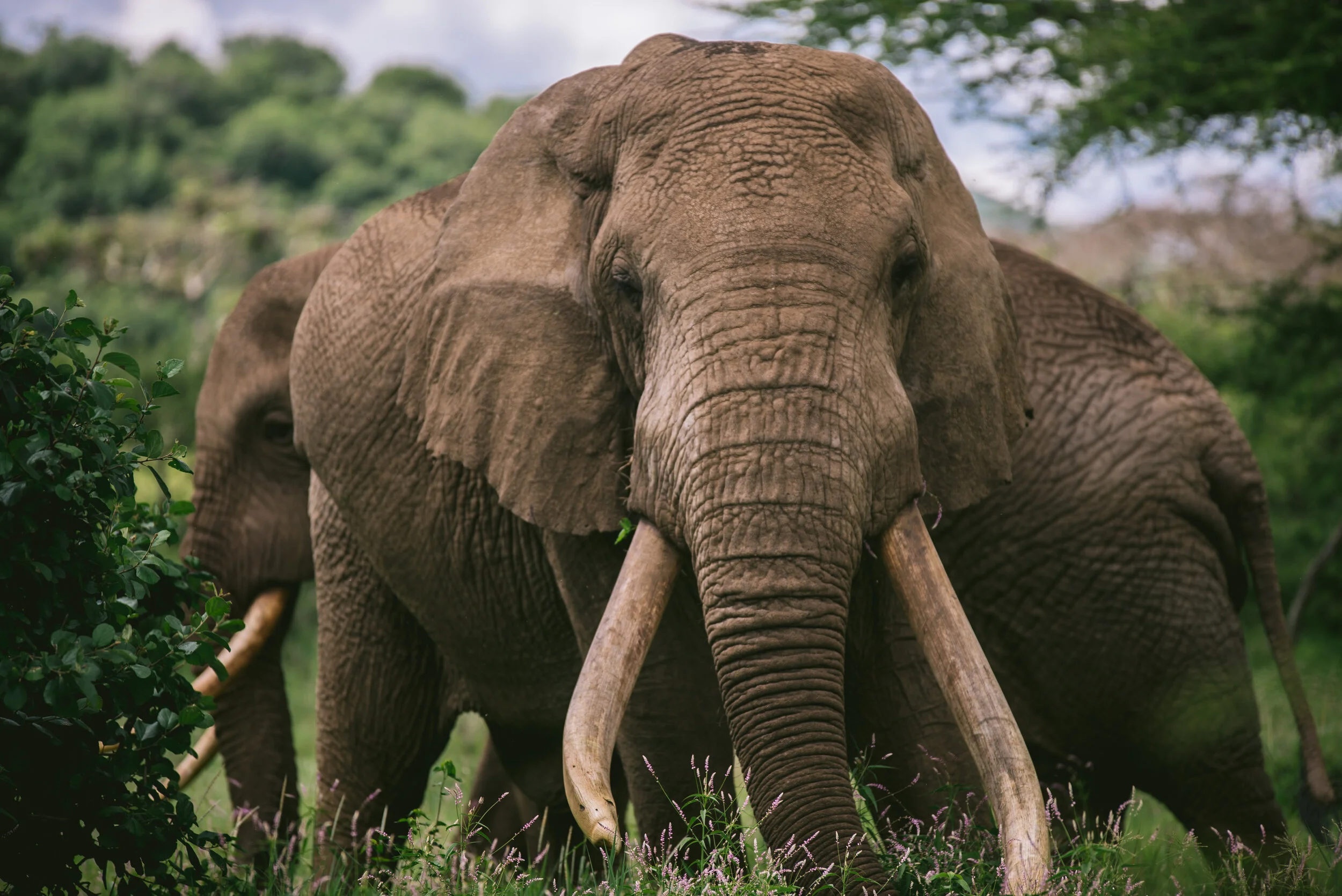 kenya-A7s-09729.jpeg