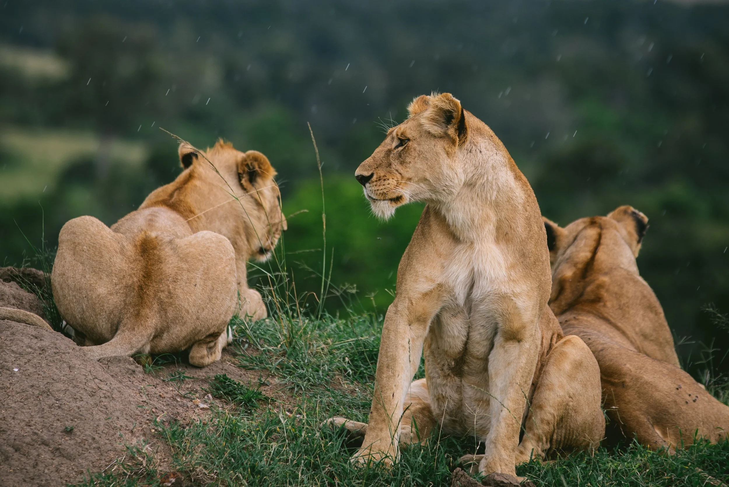kenya-A7s-09788.jpg