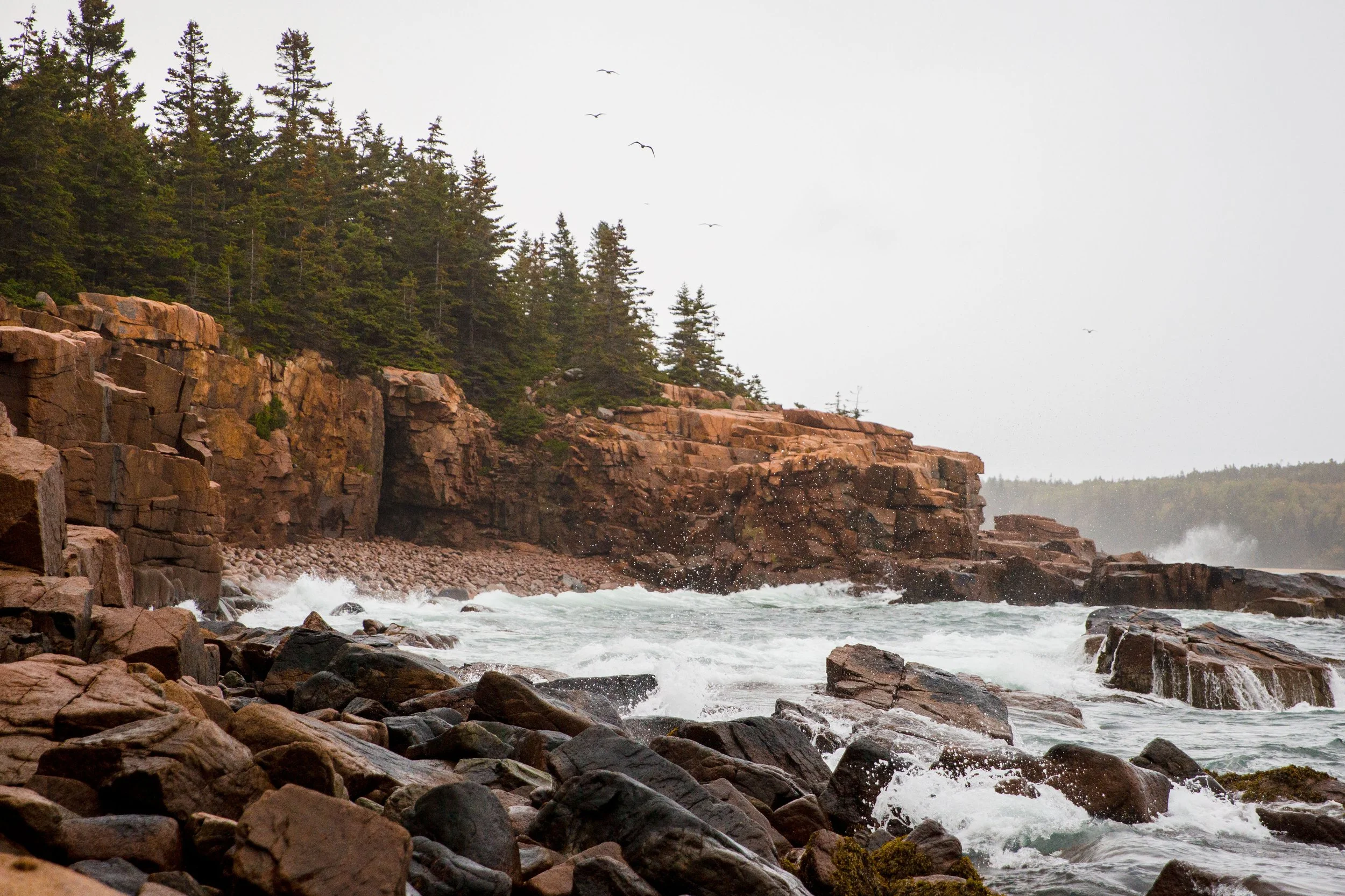 acadia2019-0955-2.jpg