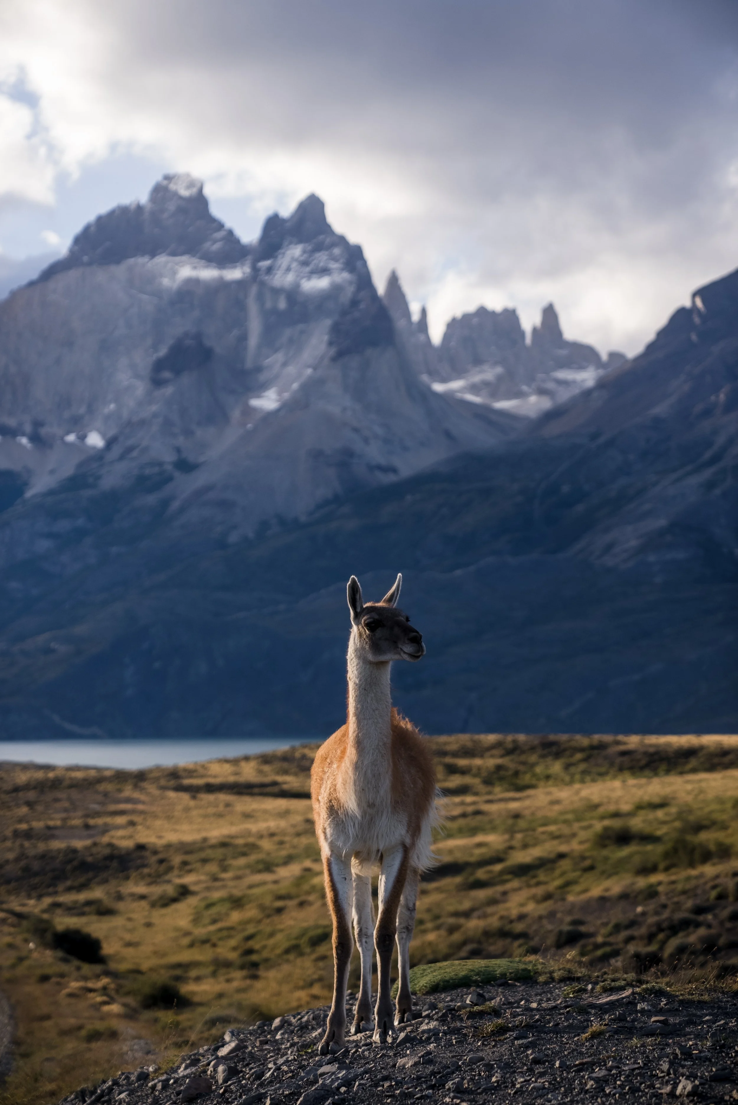 patagonia-01429.jpg