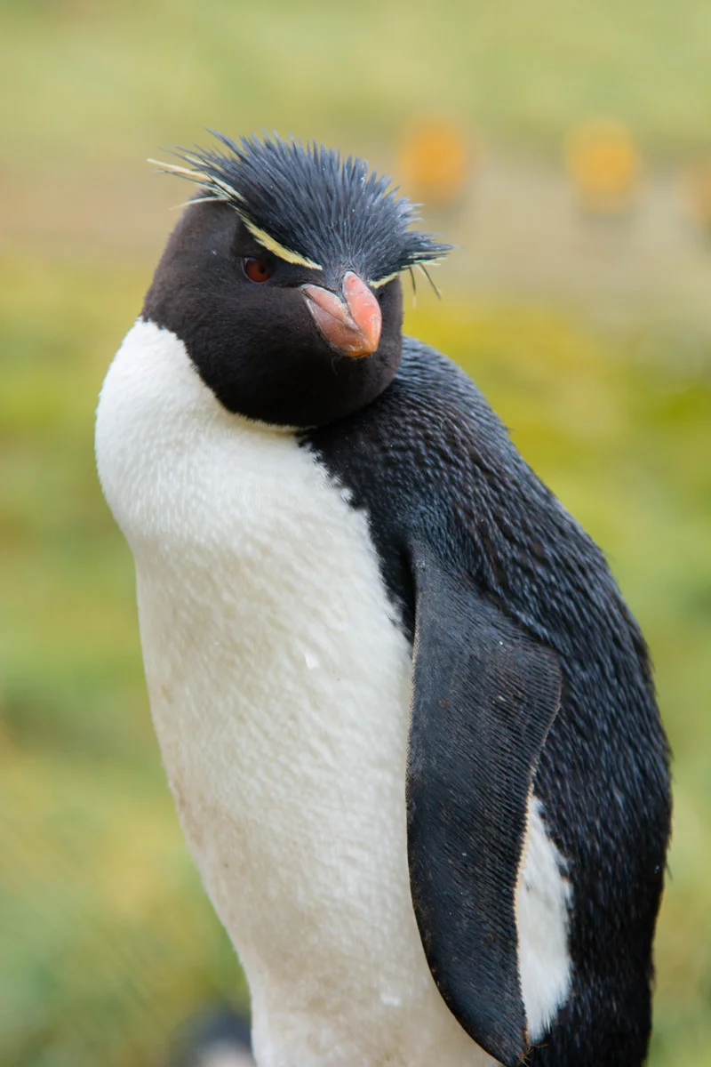 DSC_1285.jpg