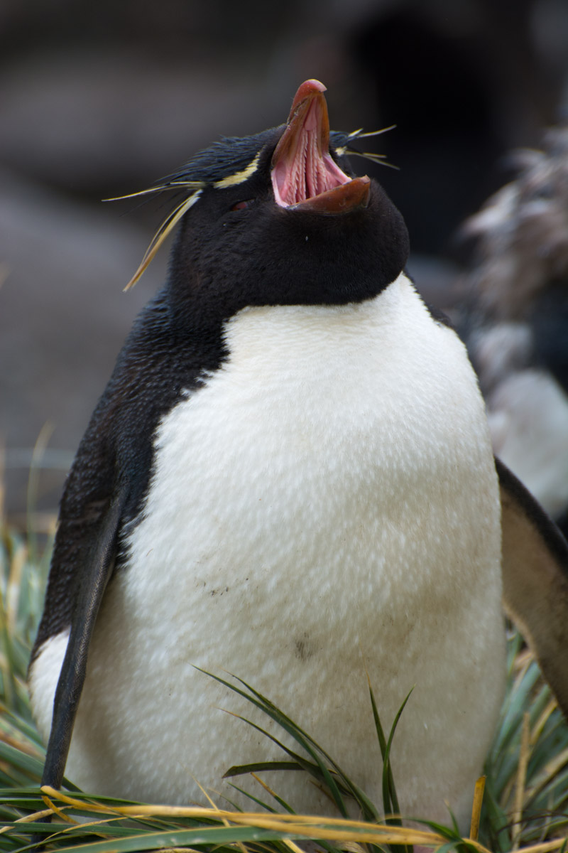 DSC_1311.jpg
