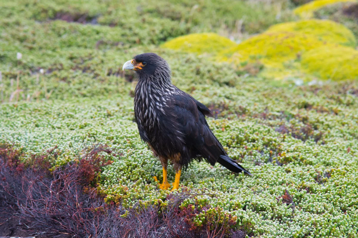 DSC_1236.jpg