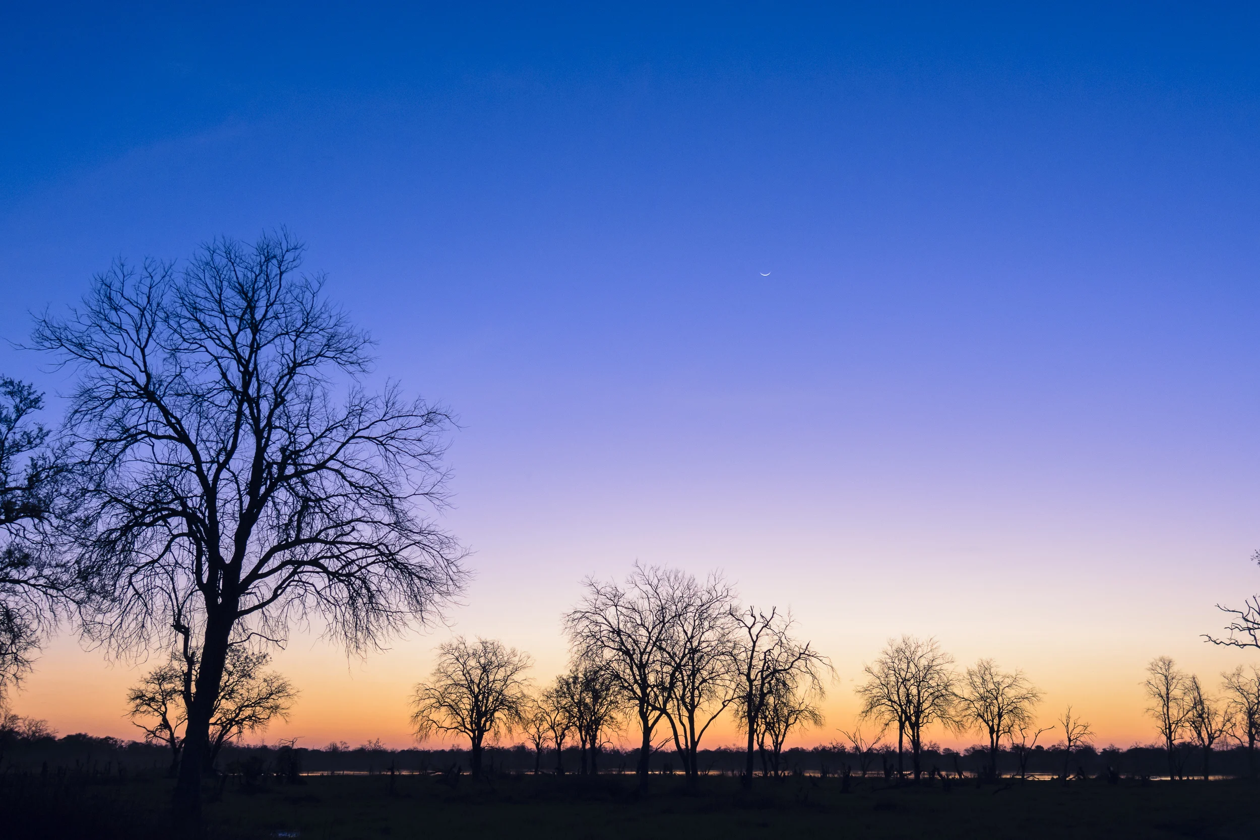 Twilight, Khwai concession, Okavango Delta, Botswana