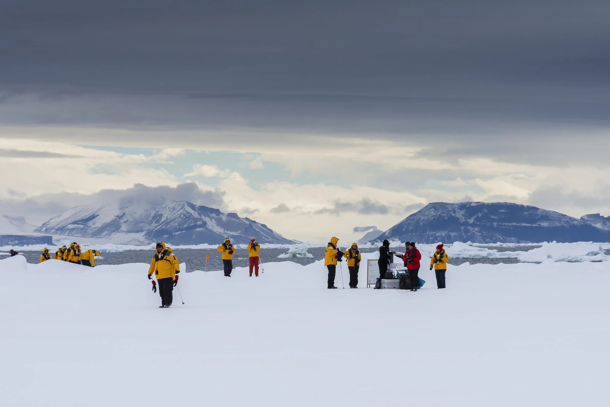 Landing on multi-year sea ice, Erebus and Terror Gulf, eastern Antarctic peninsula