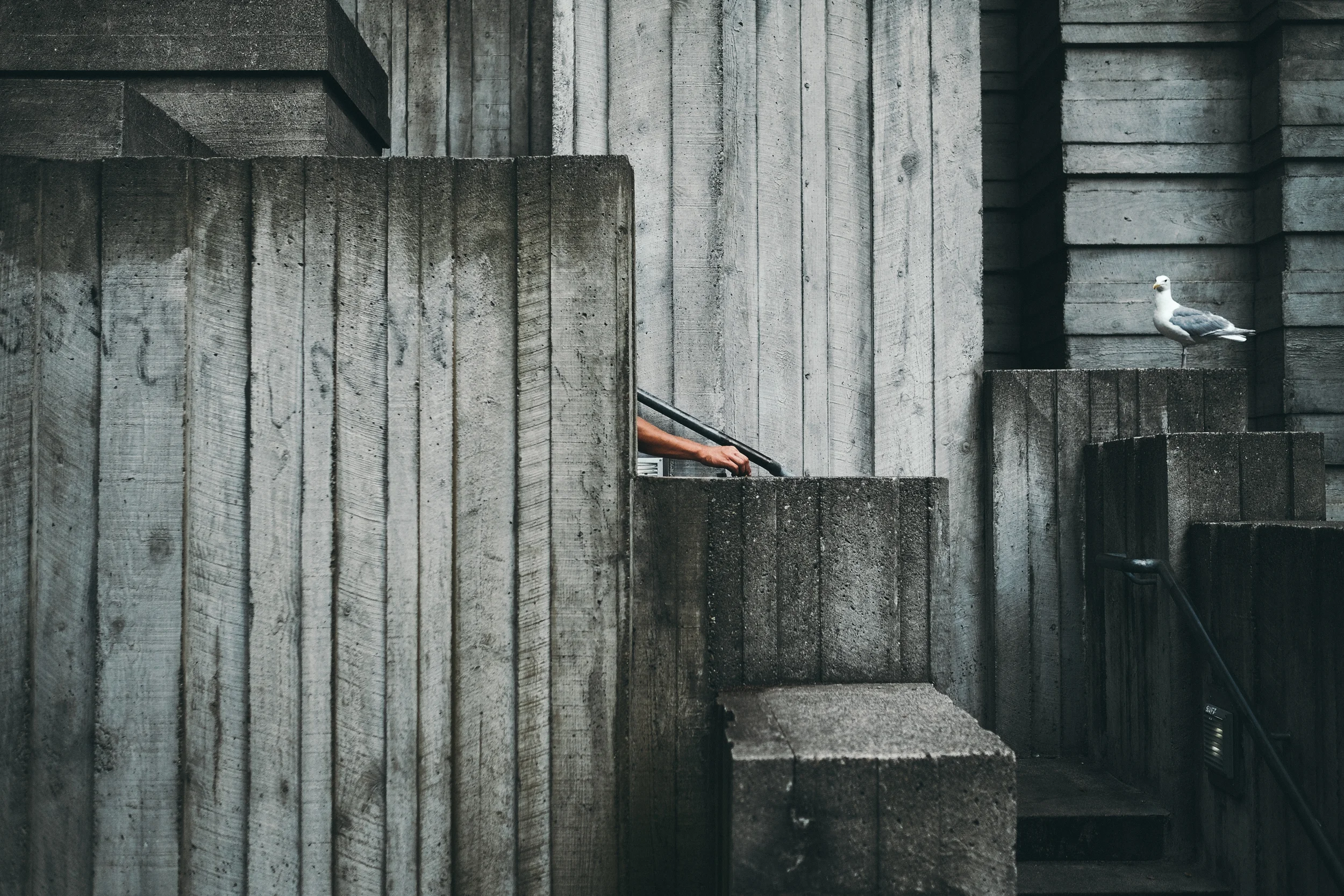 18-BCS-Street-08-14.jpg