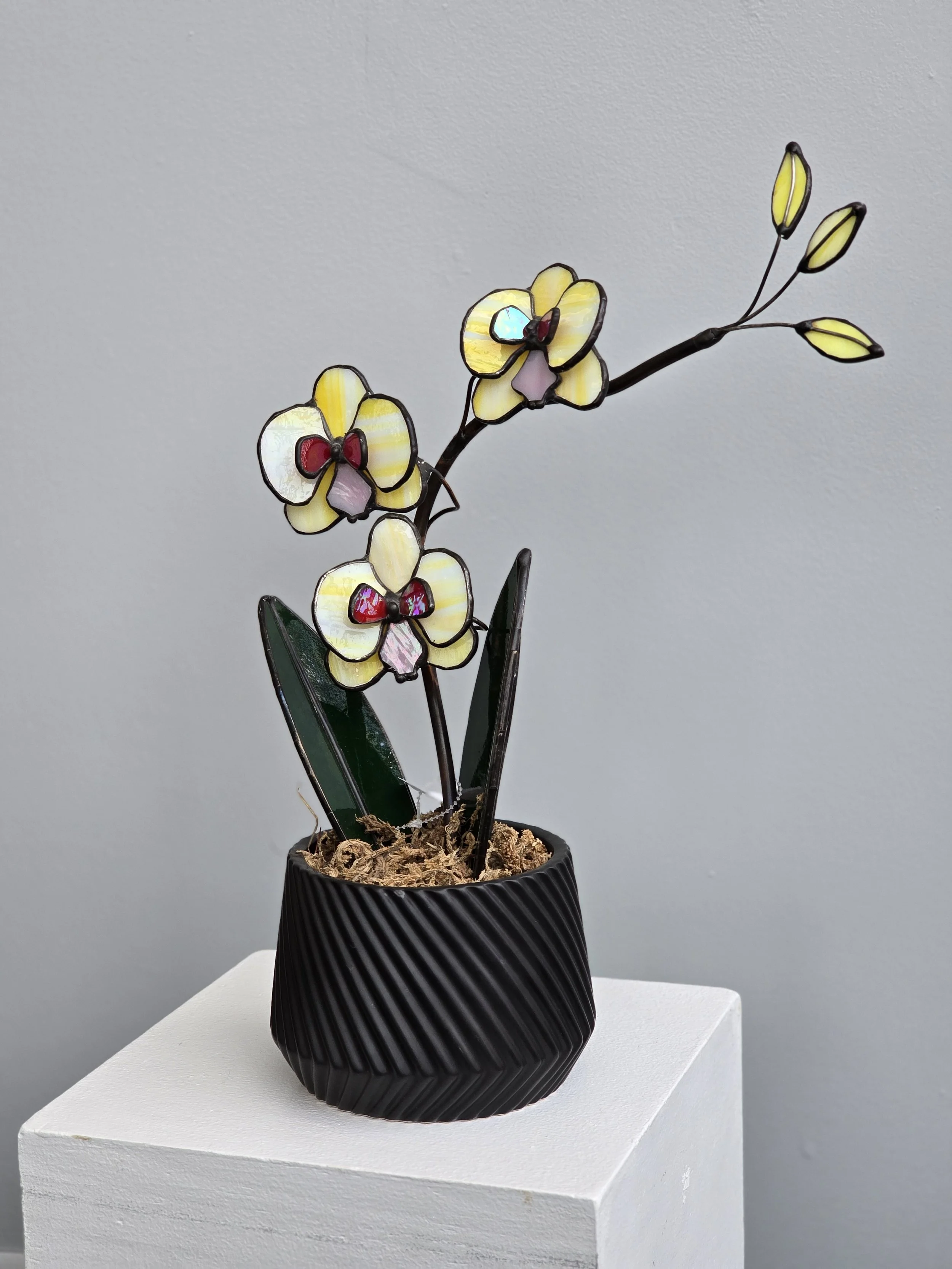 Fused stained glass orchid plant, made by local artist.