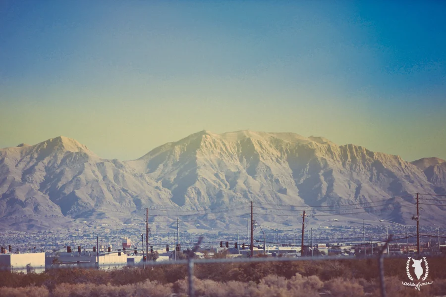 Vegas-Blog 36.jpg