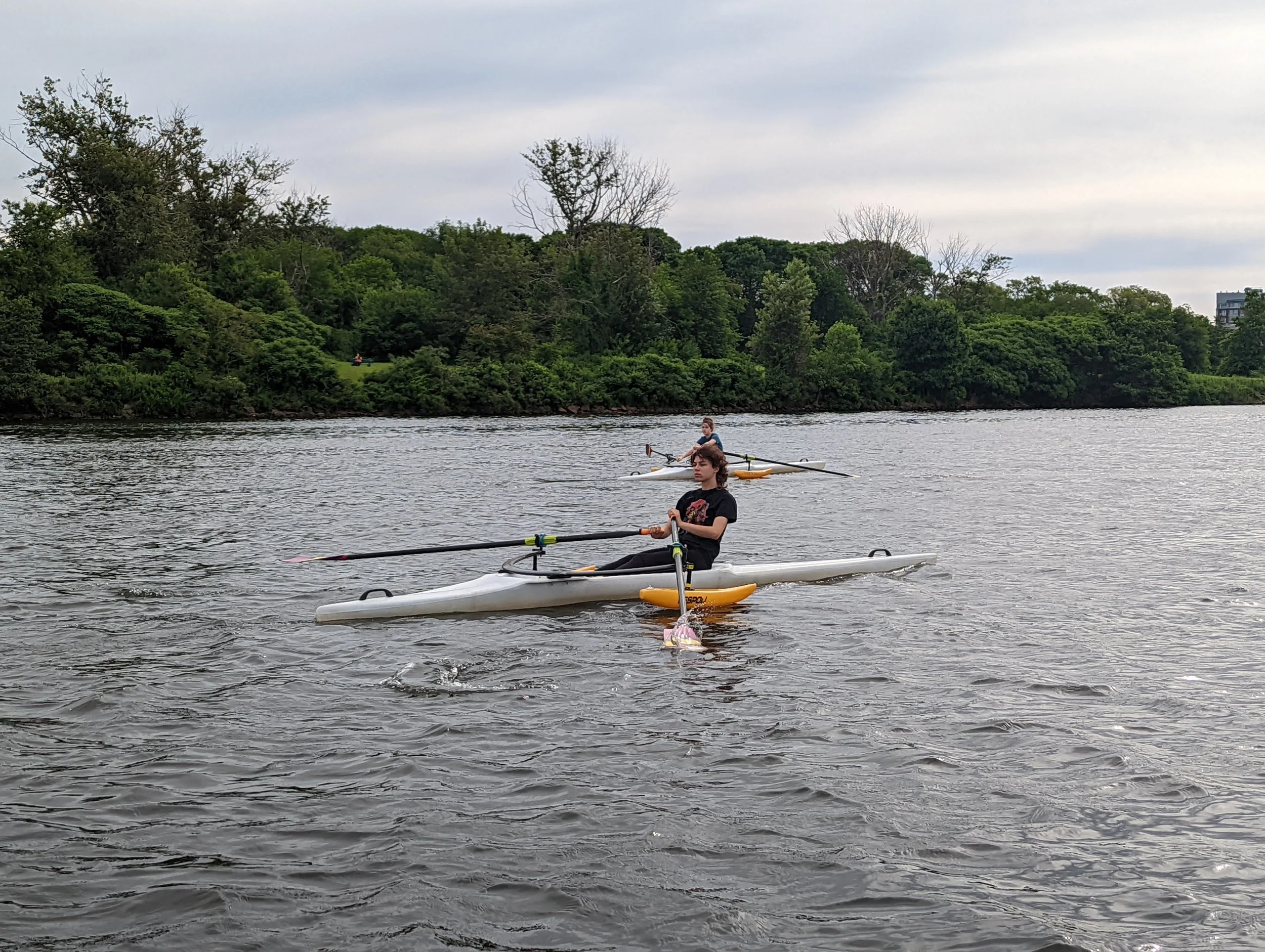 Gentle Rowing Gentle Giant Rowing Club