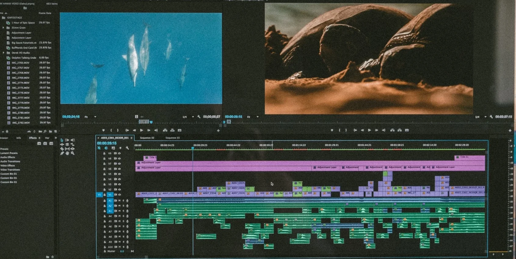 Editing 2.jpg