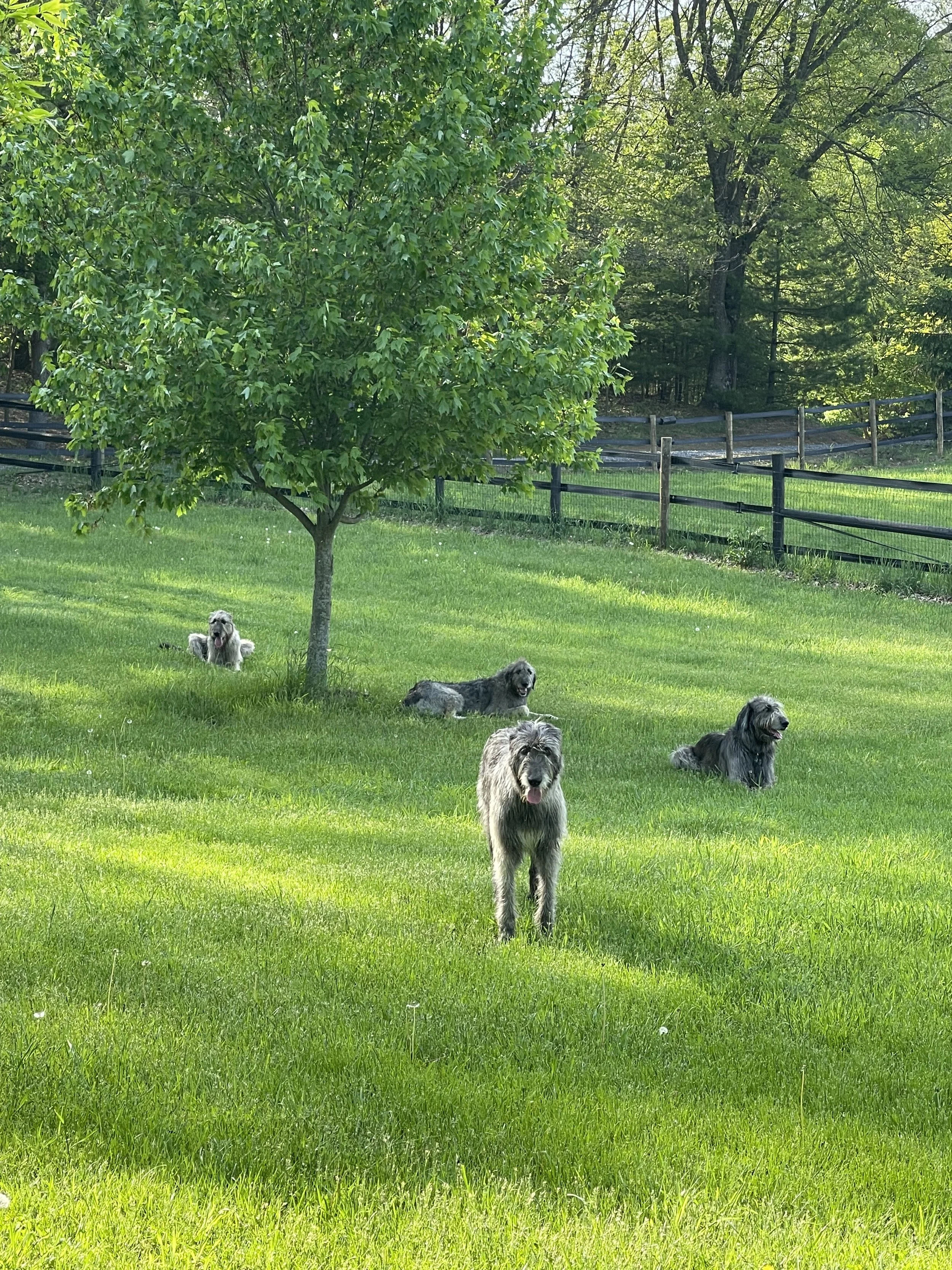 Other Very Serious Health Issues