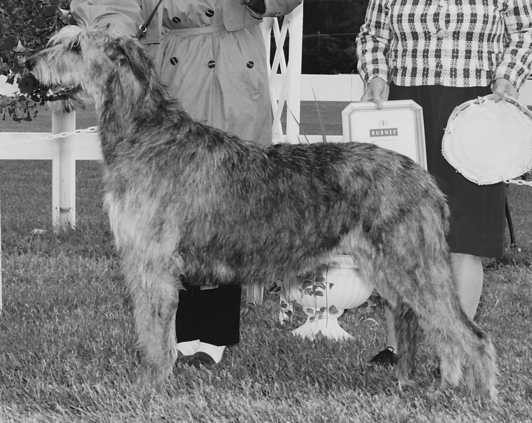 Ballyhara Rhiannon
