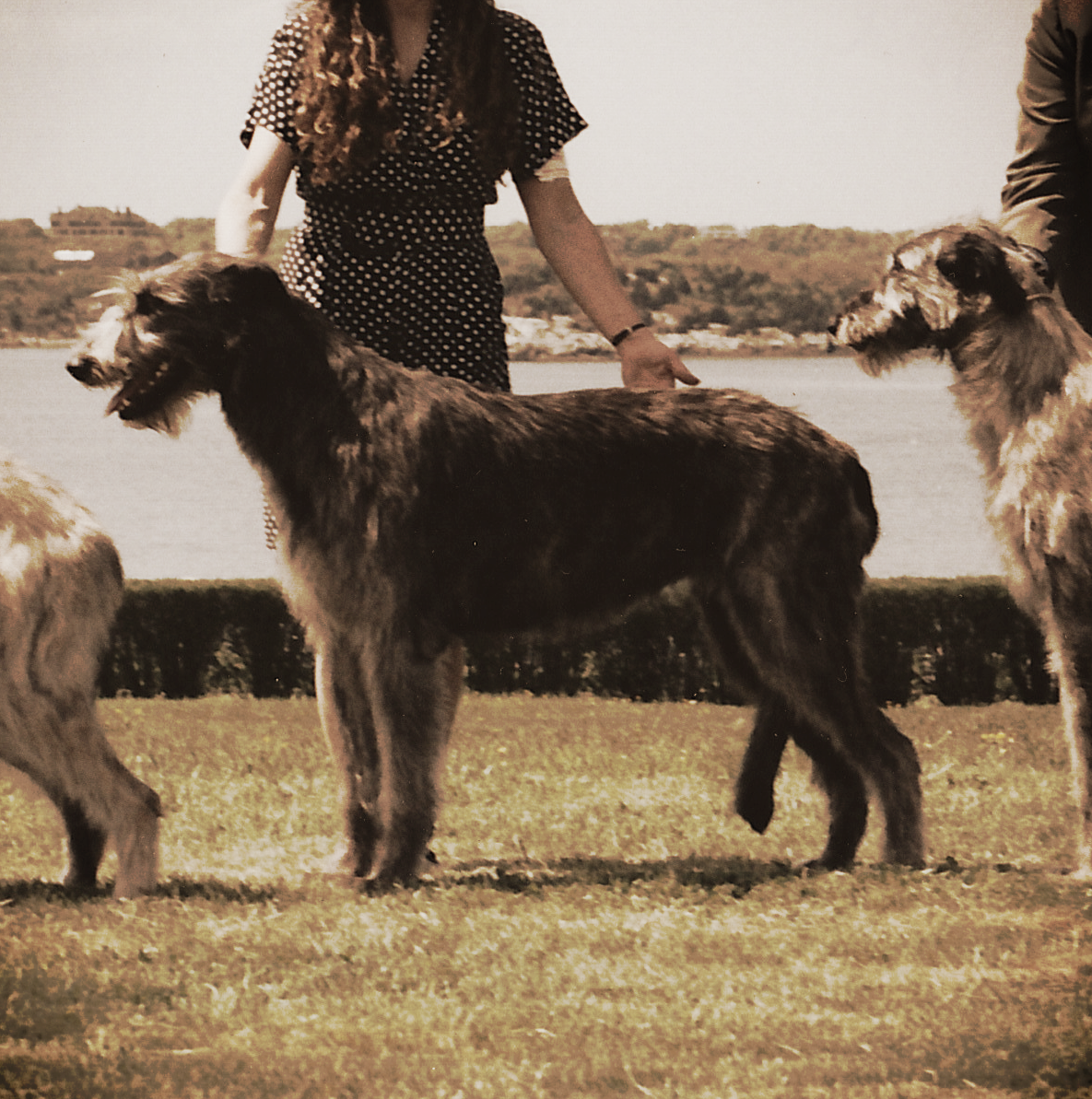 Ballyhara Sinead