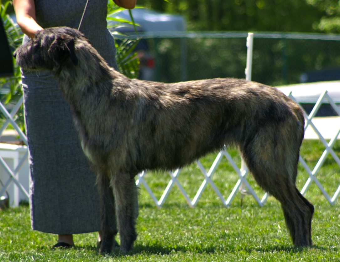 Santa at approx. 16 mos.JPG