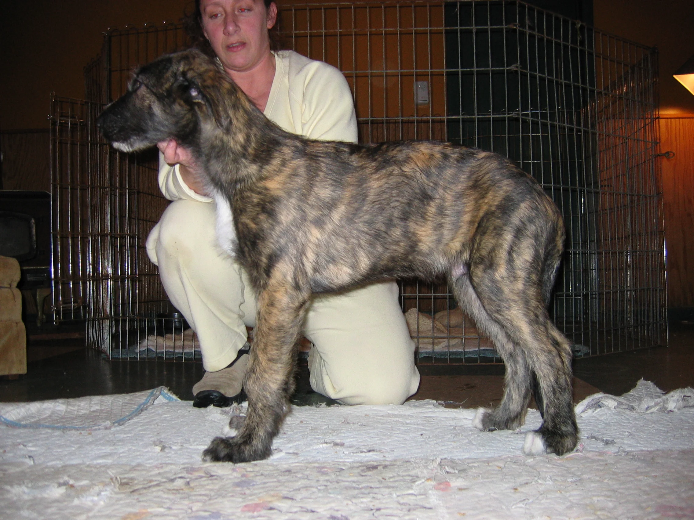 SCove profile 13 weeks.JPG