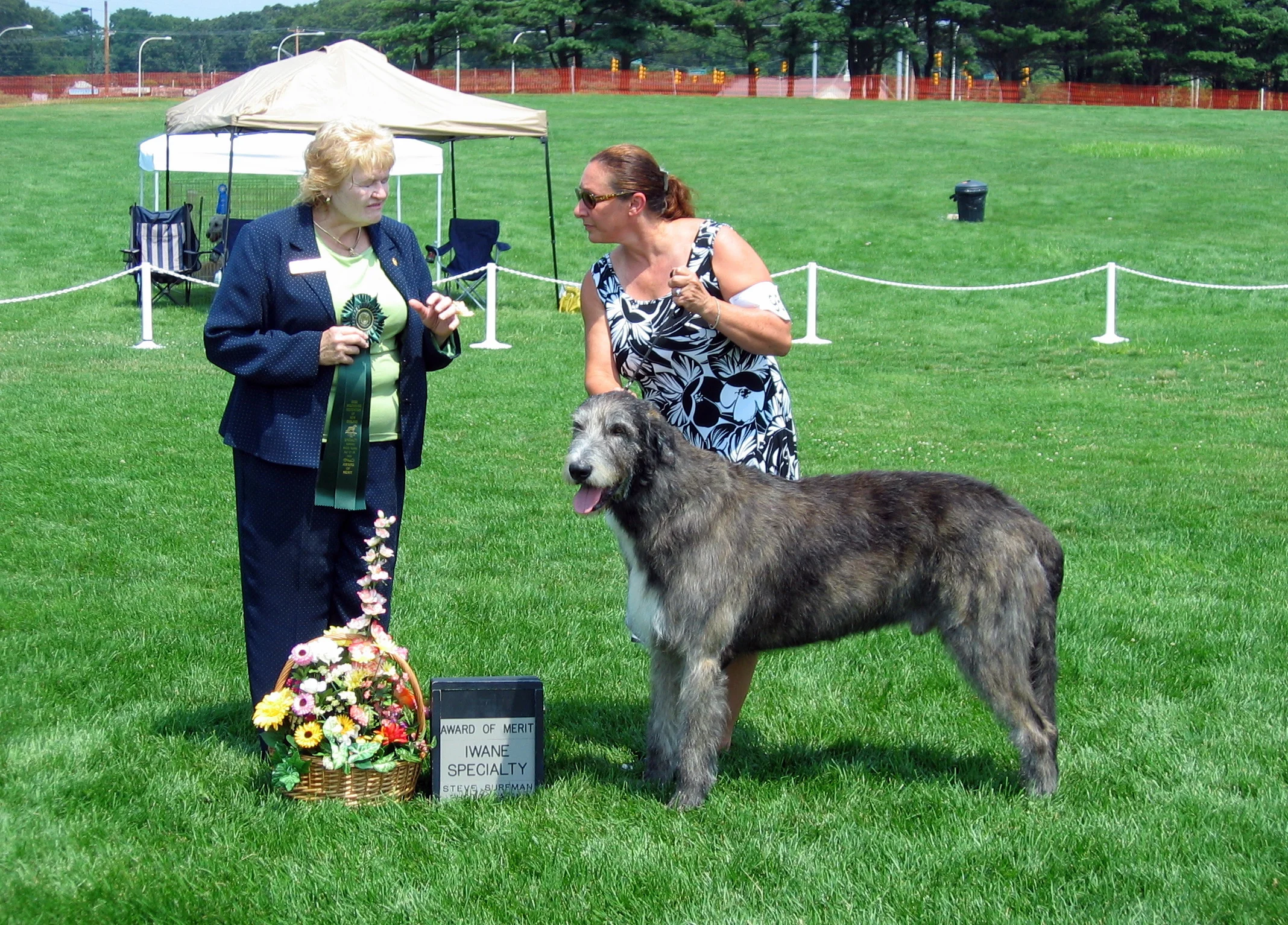 Sandycove Award Merit IWANE Specialty.JPG