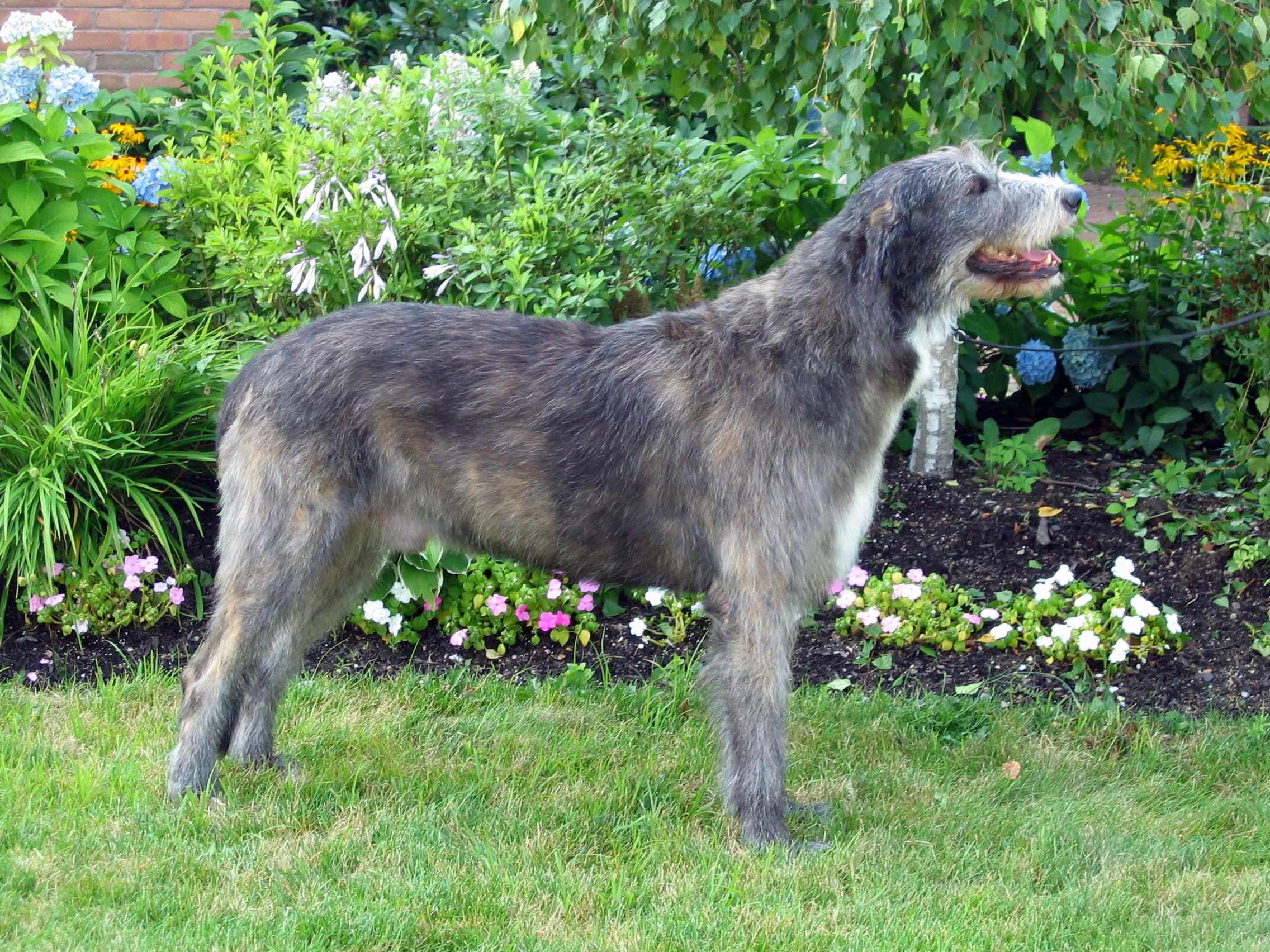 Sandycove 3 years.JPG