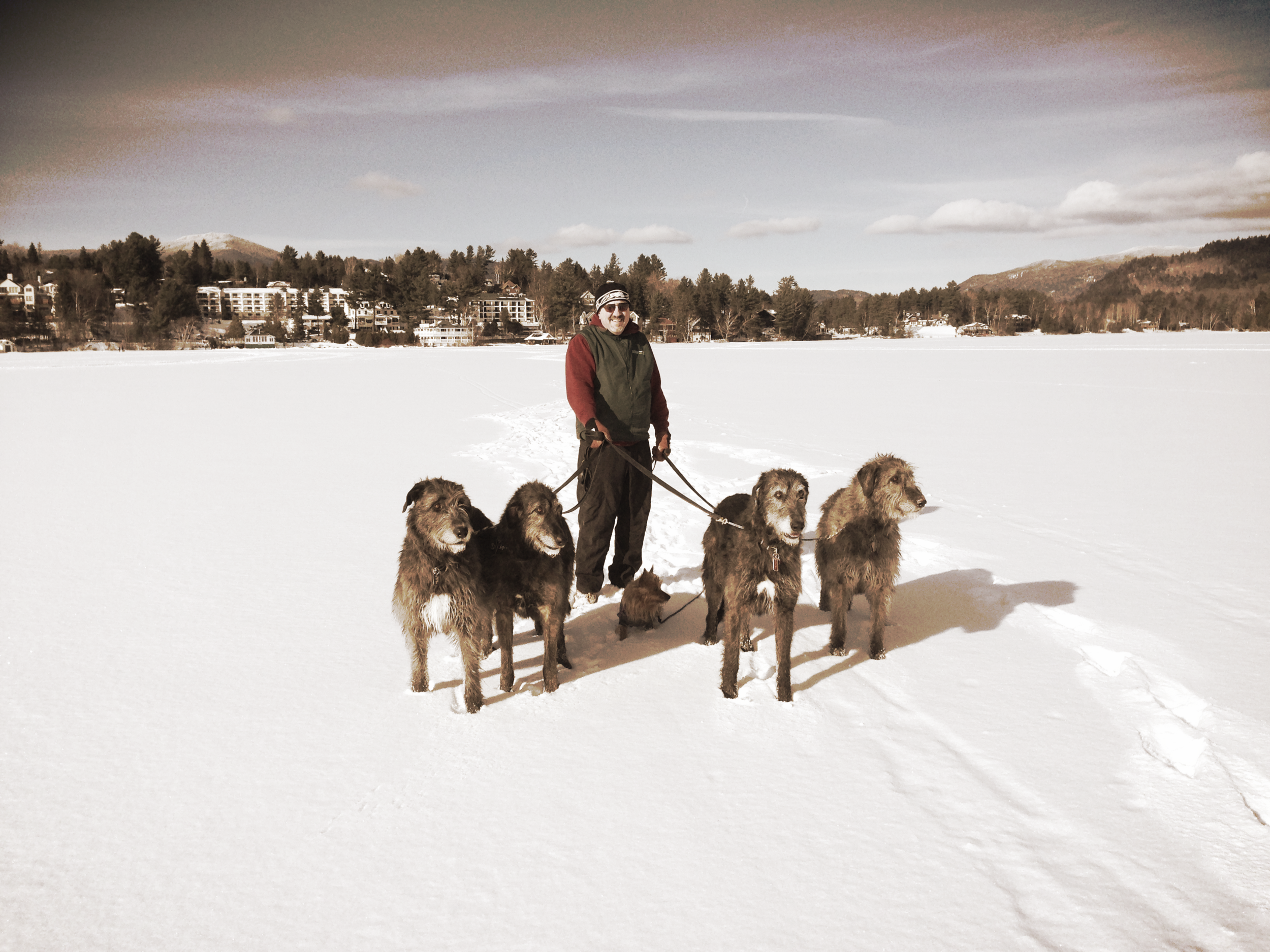 Bob Forman and Irish Wolfhounds