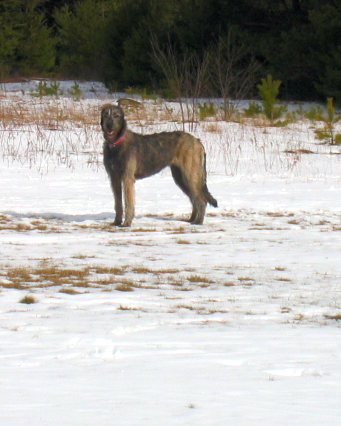 Jane 11 months