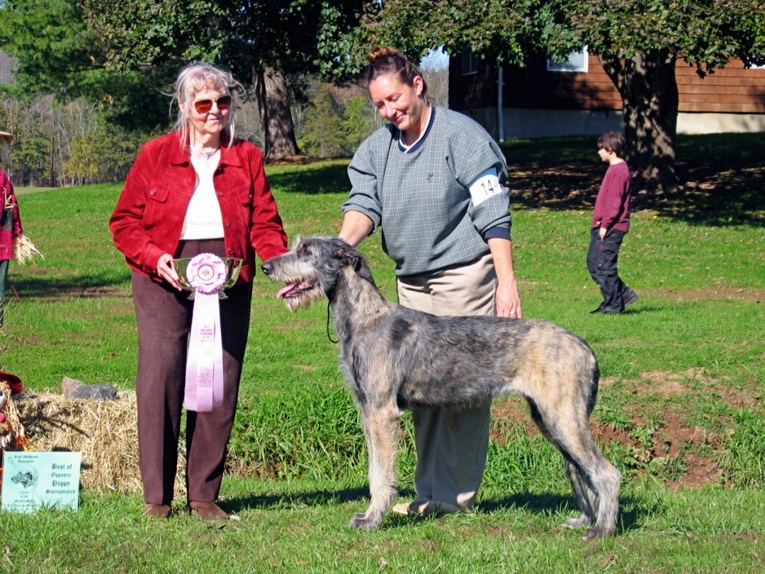 Jane BOS IW Garden State Sweepstakes