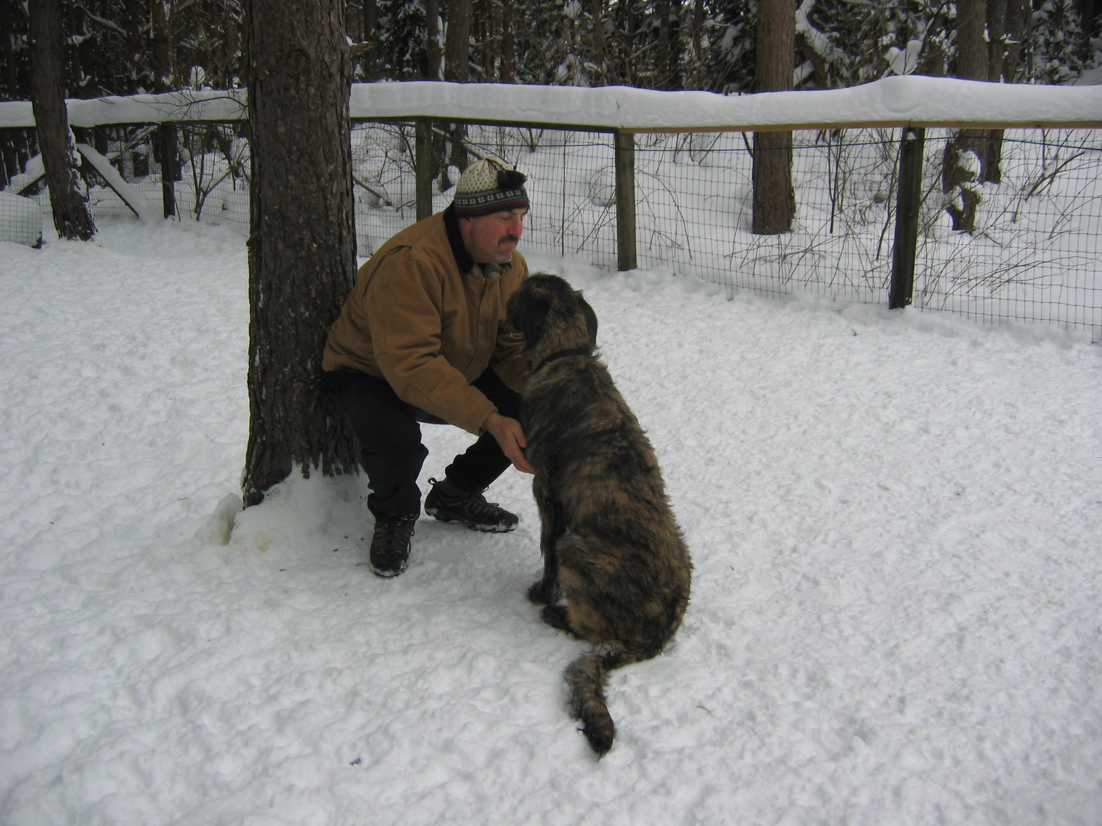 Bobby & Danny as a pup