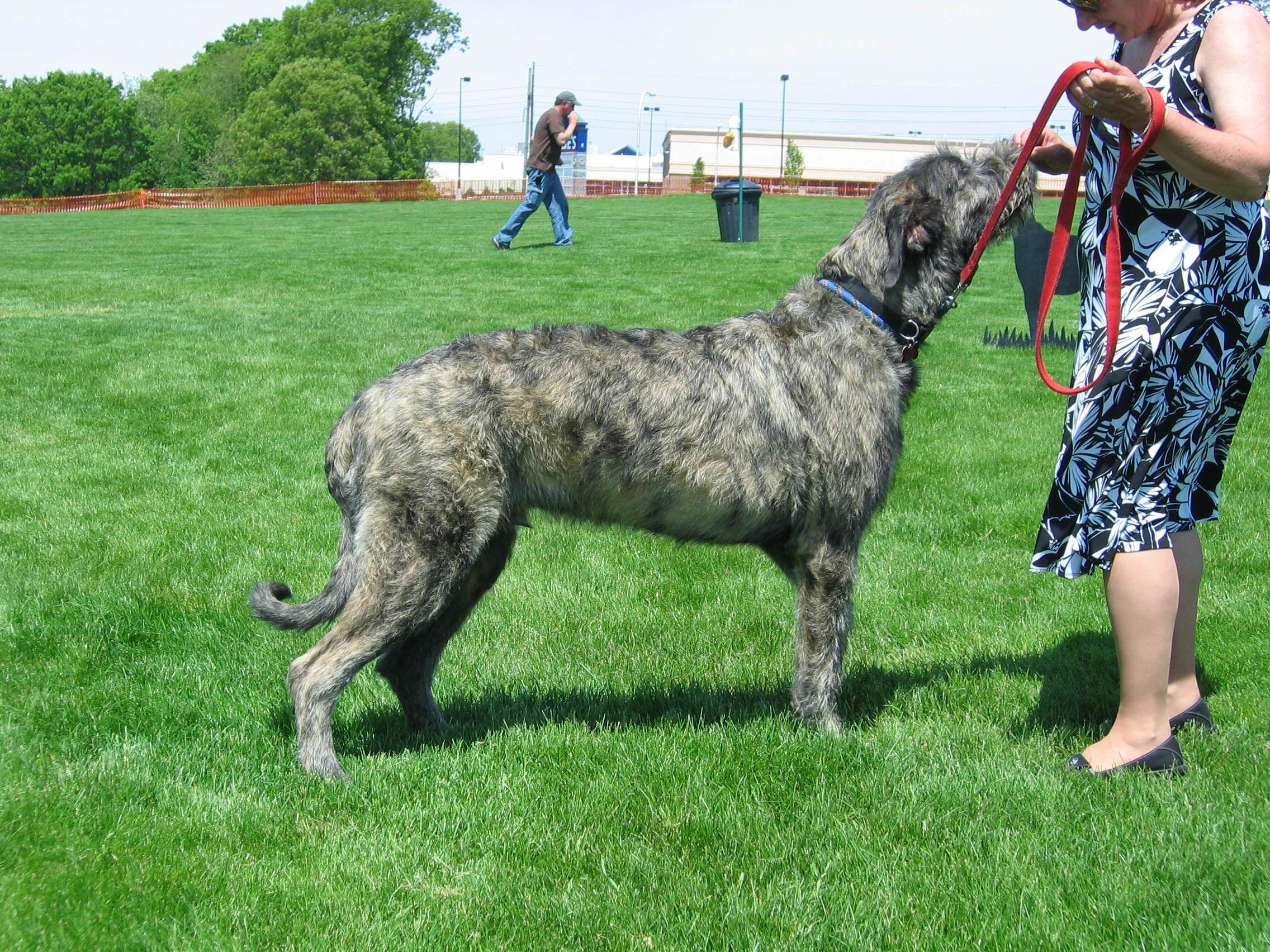 Danny 9 months on teh day