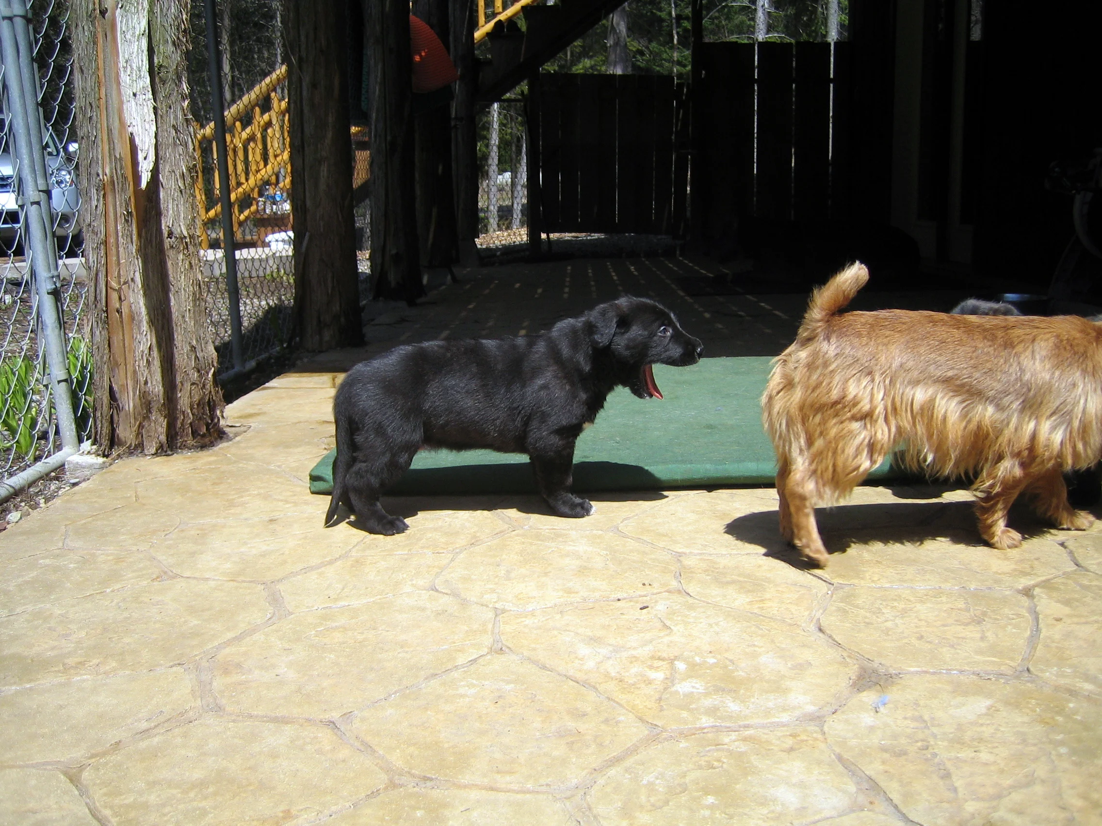 Copy of IMG_1081-1.JPG