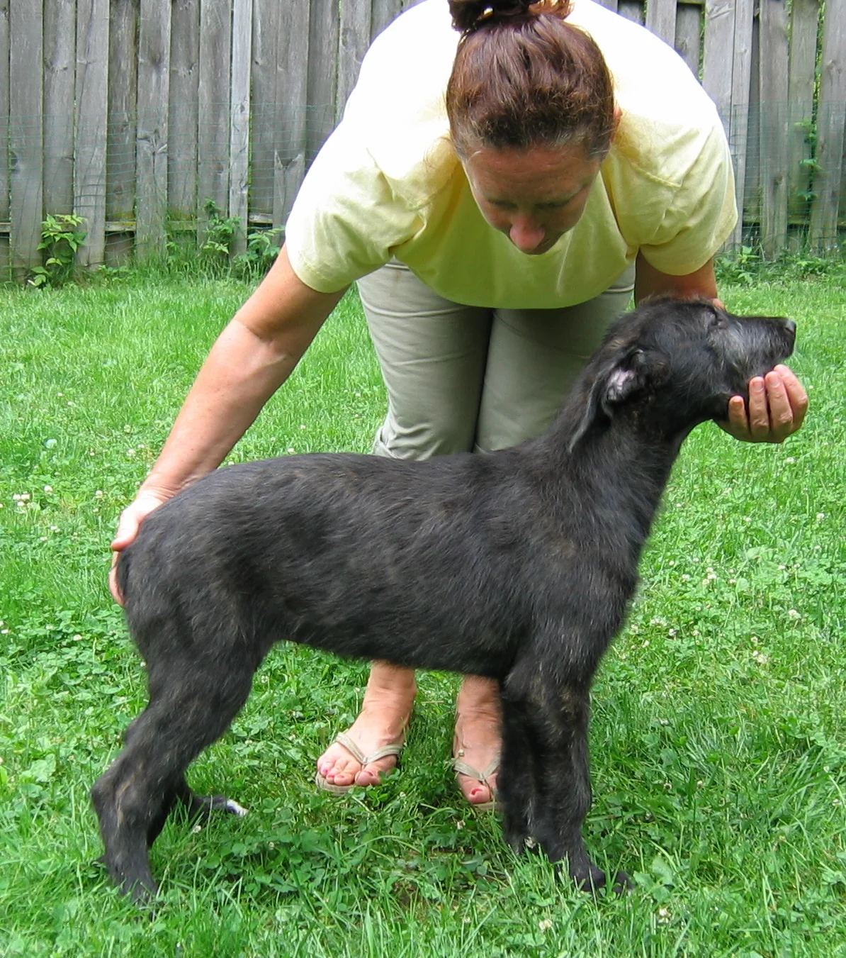 Cinneide 12 weeks.JPG