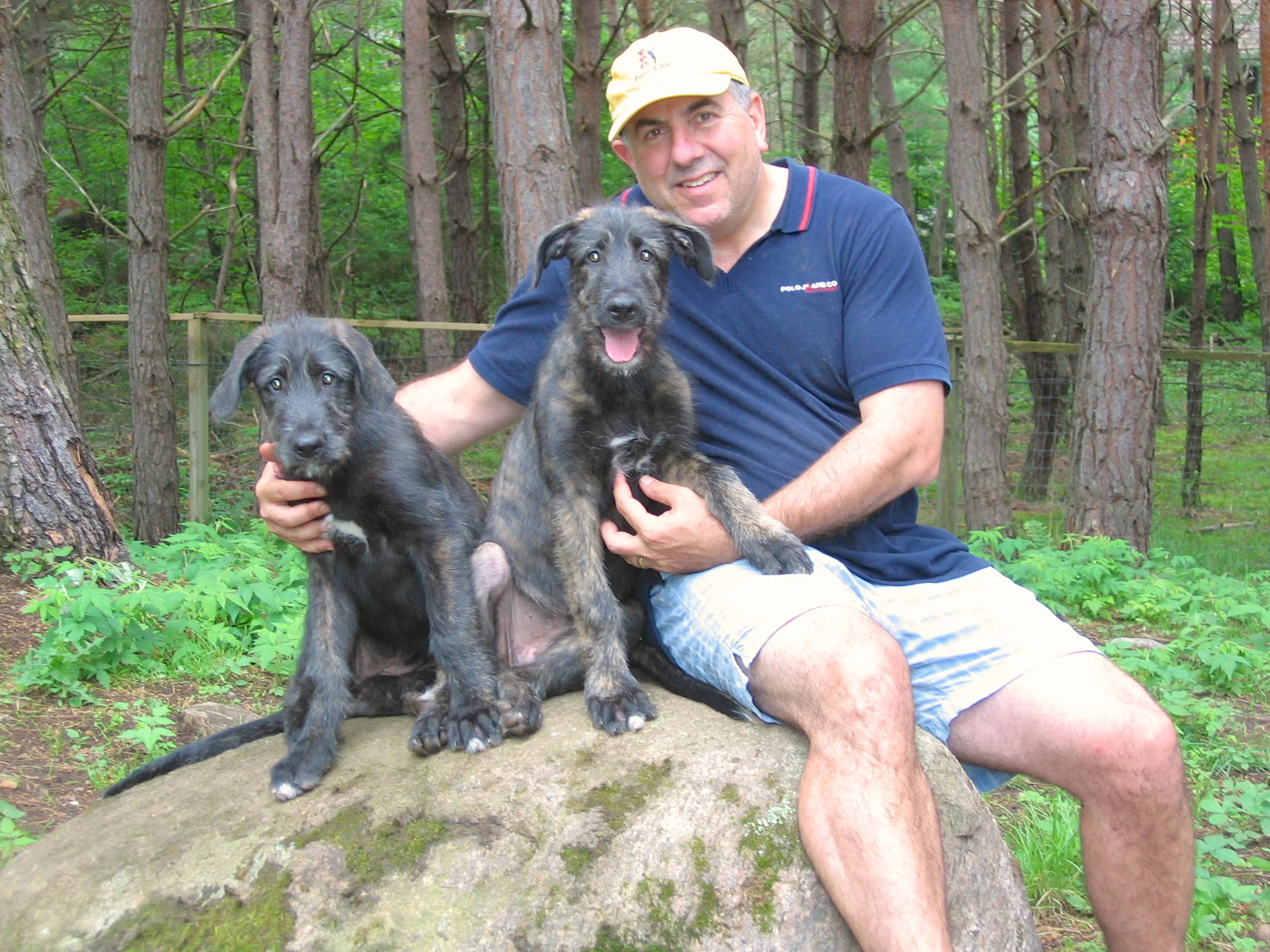 Bobby, Cinneide and Chevonne