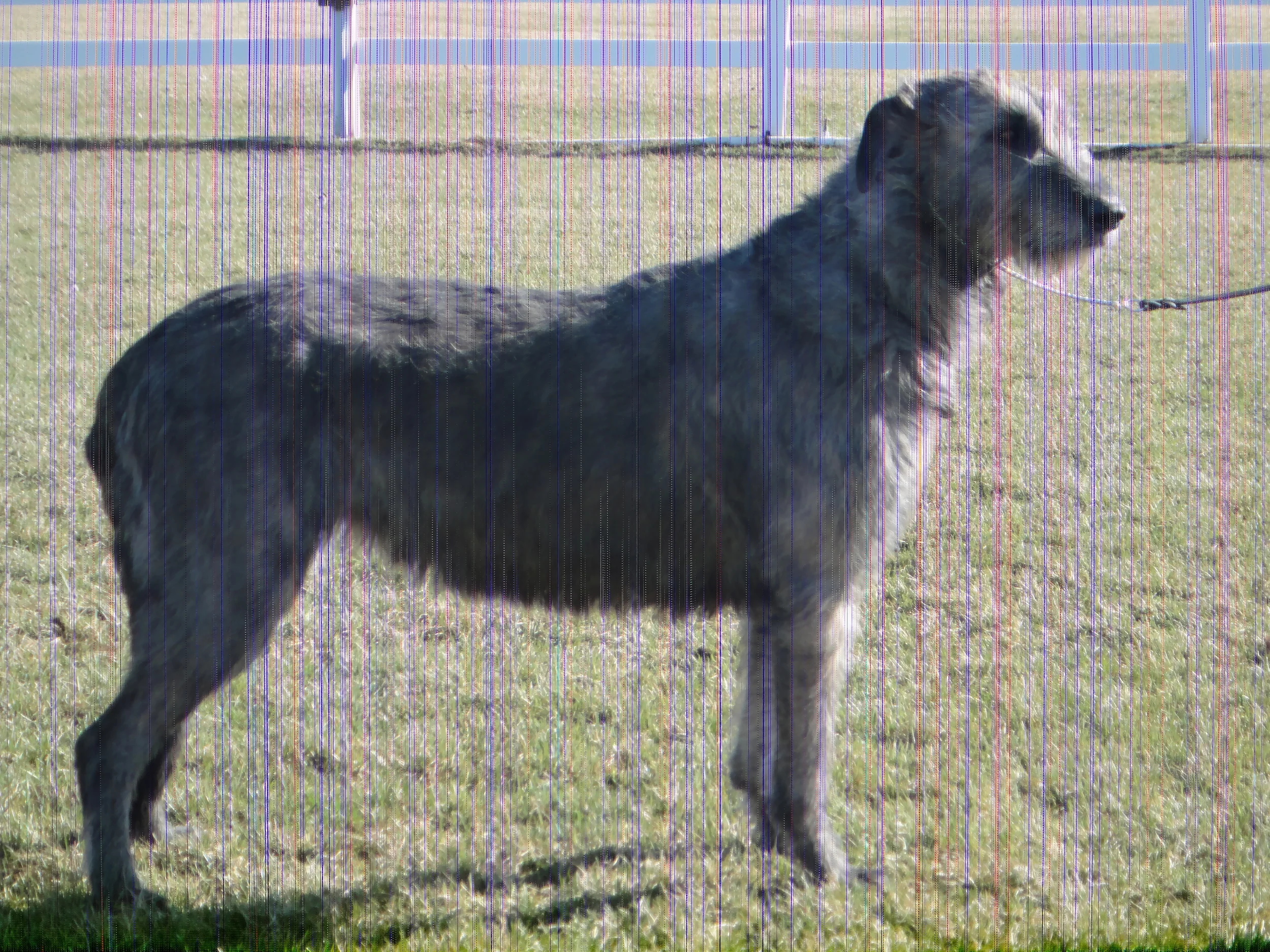 Dior 3.5 years