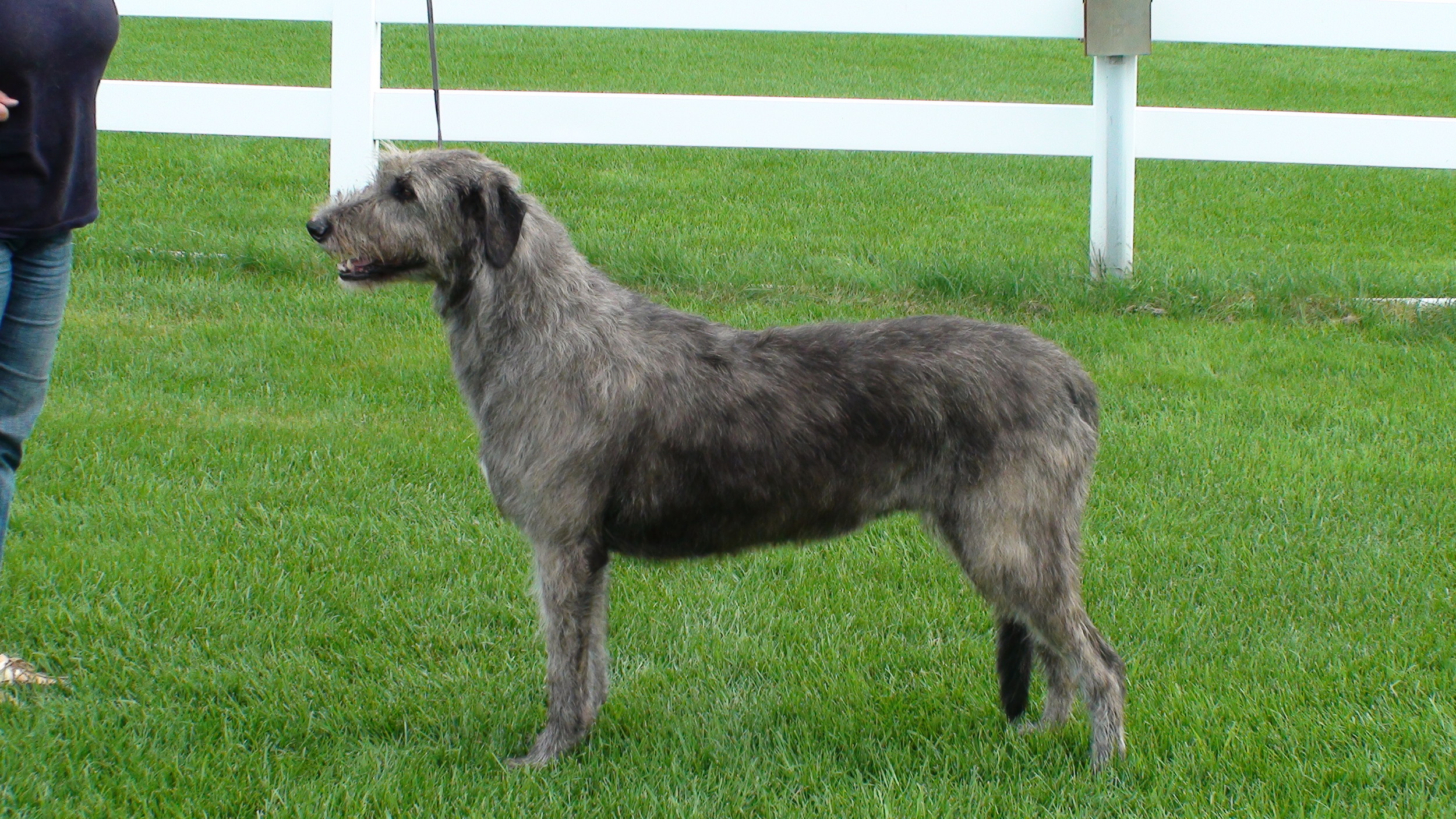 Dior 4 years