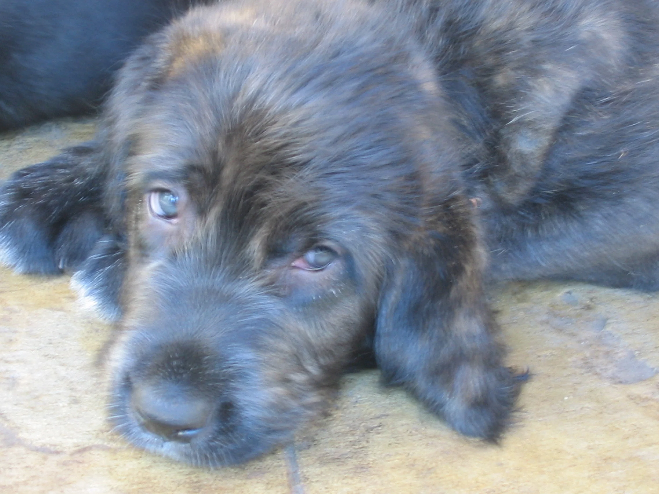 Declan 6 weeks after injury