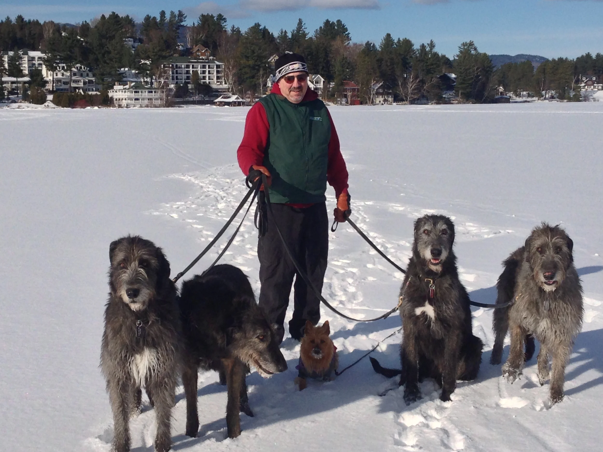 Declan, Chevonne, Lucy, Cinneide and Dior