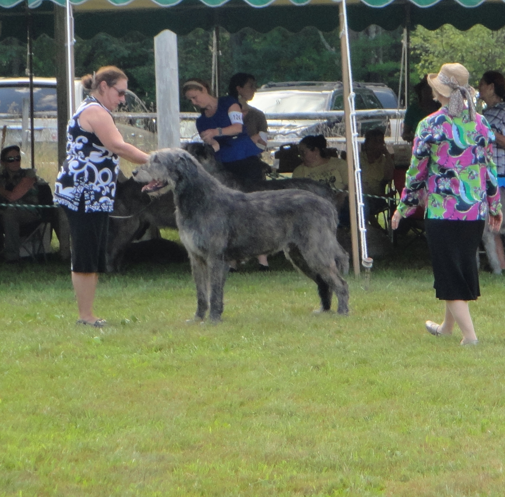 Danny 4 years IWANE 2013 Award of Merit