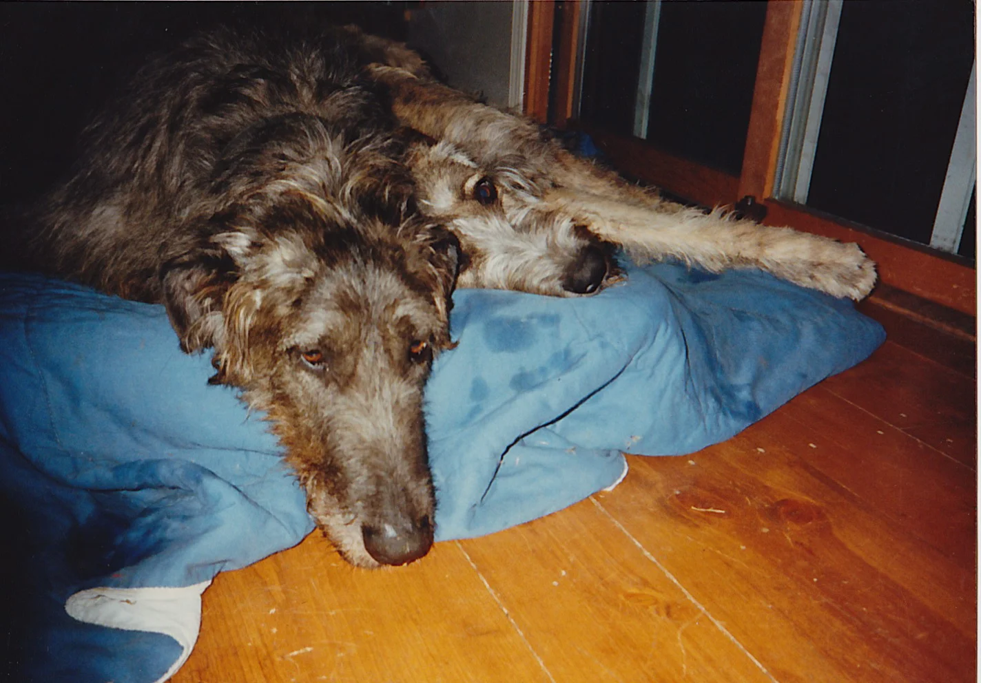 Conn and Siobhan in Vermont.jpg