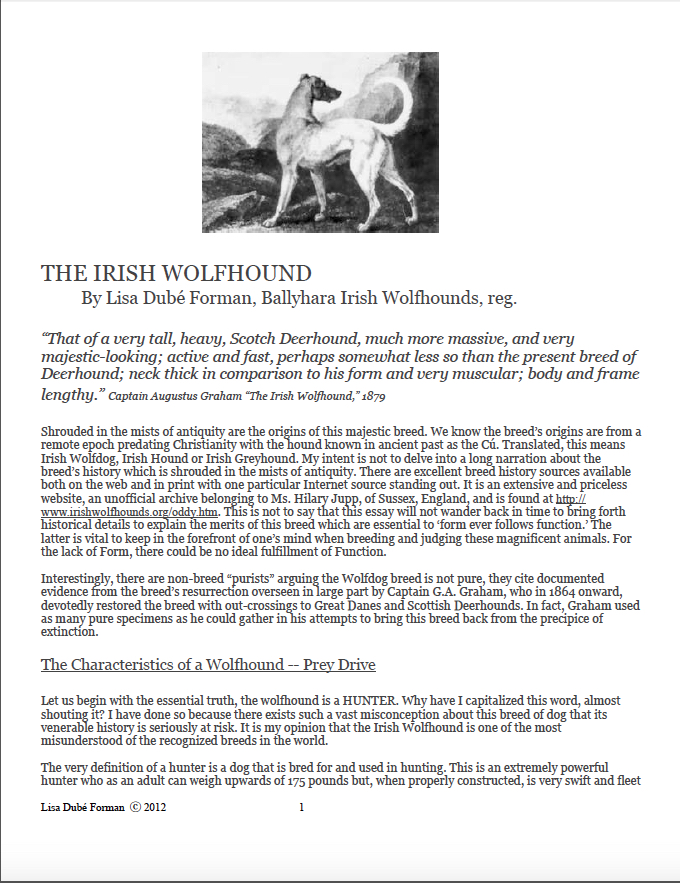 The Irish Wolfhound presentation final draft 2012 by Lisa Dube Forman copy.pdf 2014-12-03 12-18-26.jpg