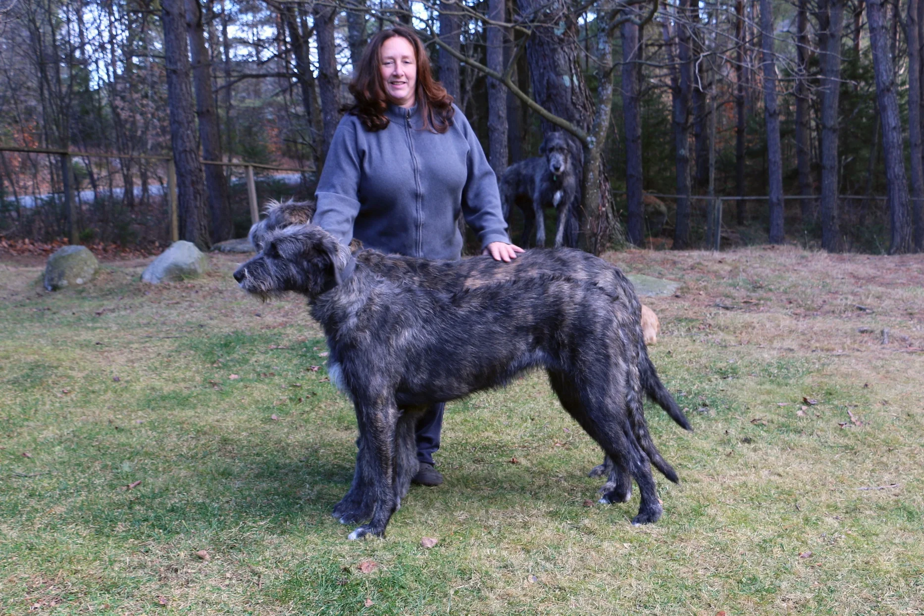 Ballyhara Kate 17 months