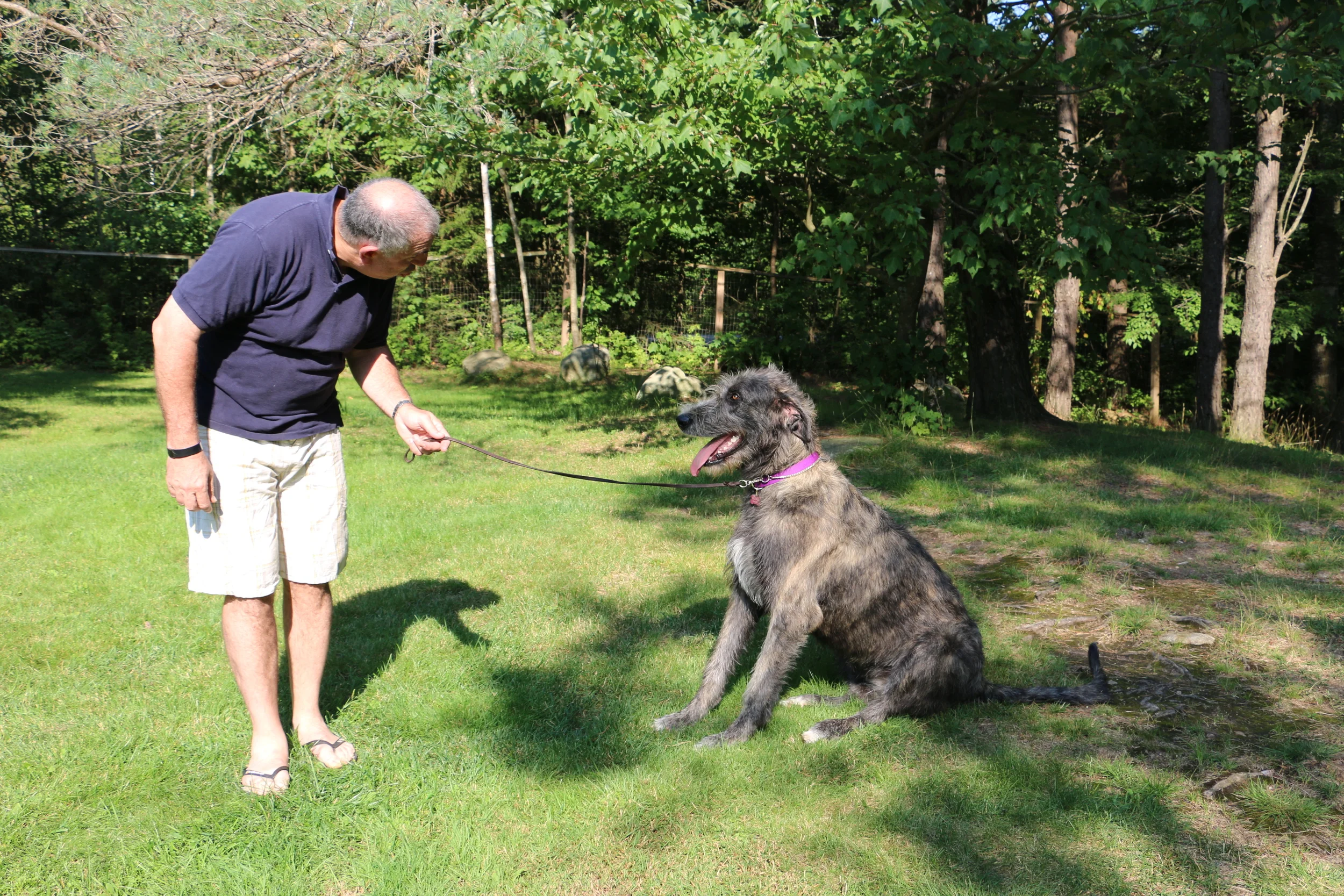 Ballyhara Kellyanne 13 months