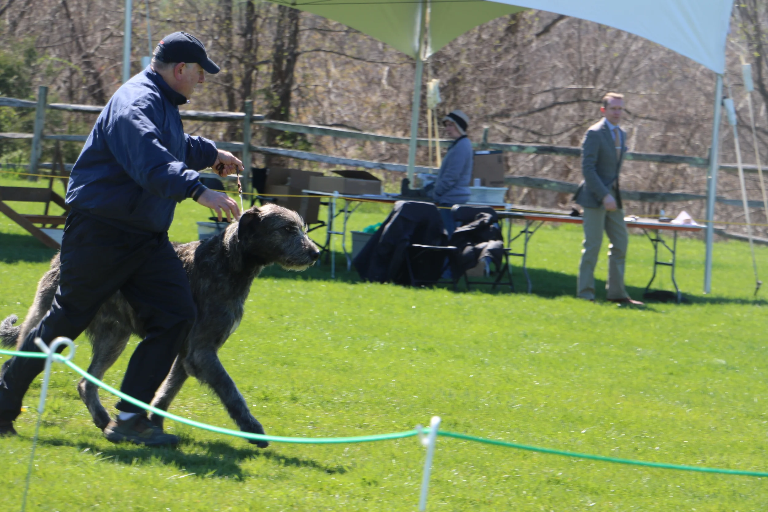 Ballyhara Ki entering the ring