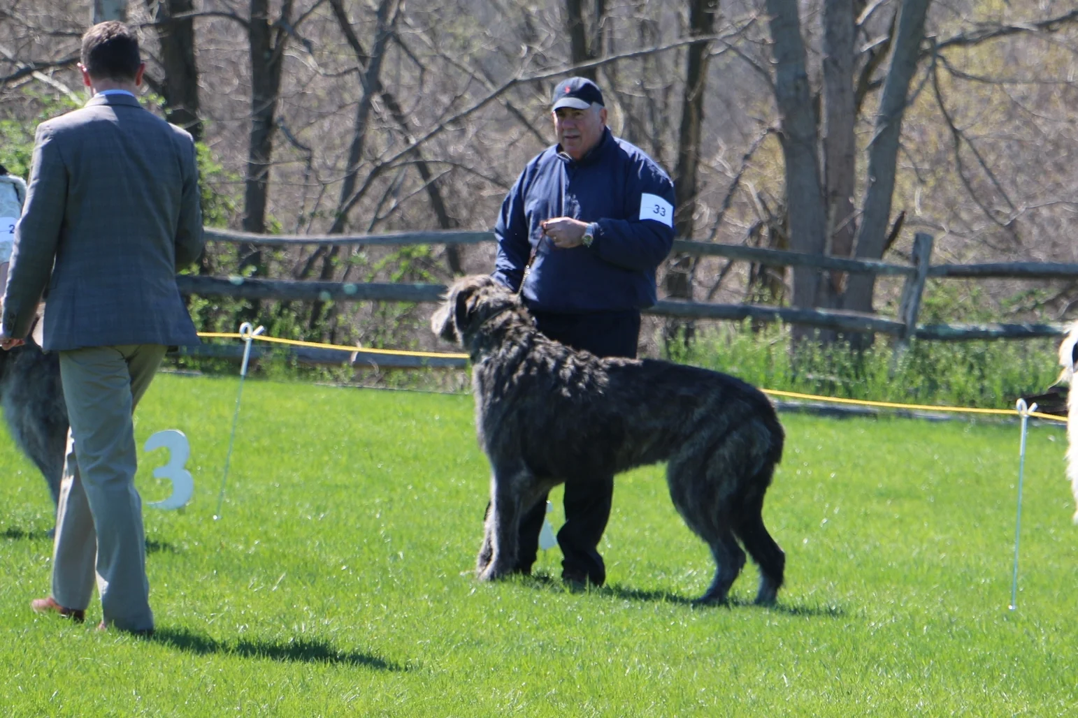 Ballyhara Ki & Bobbys first show ring