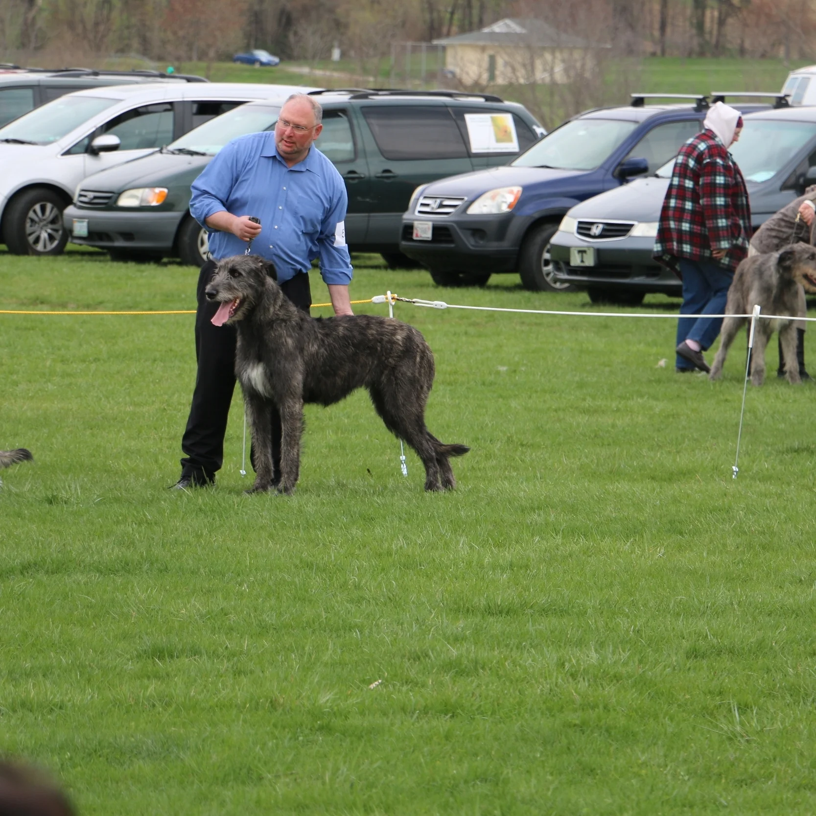 Ballyhara Kate 20 months #1