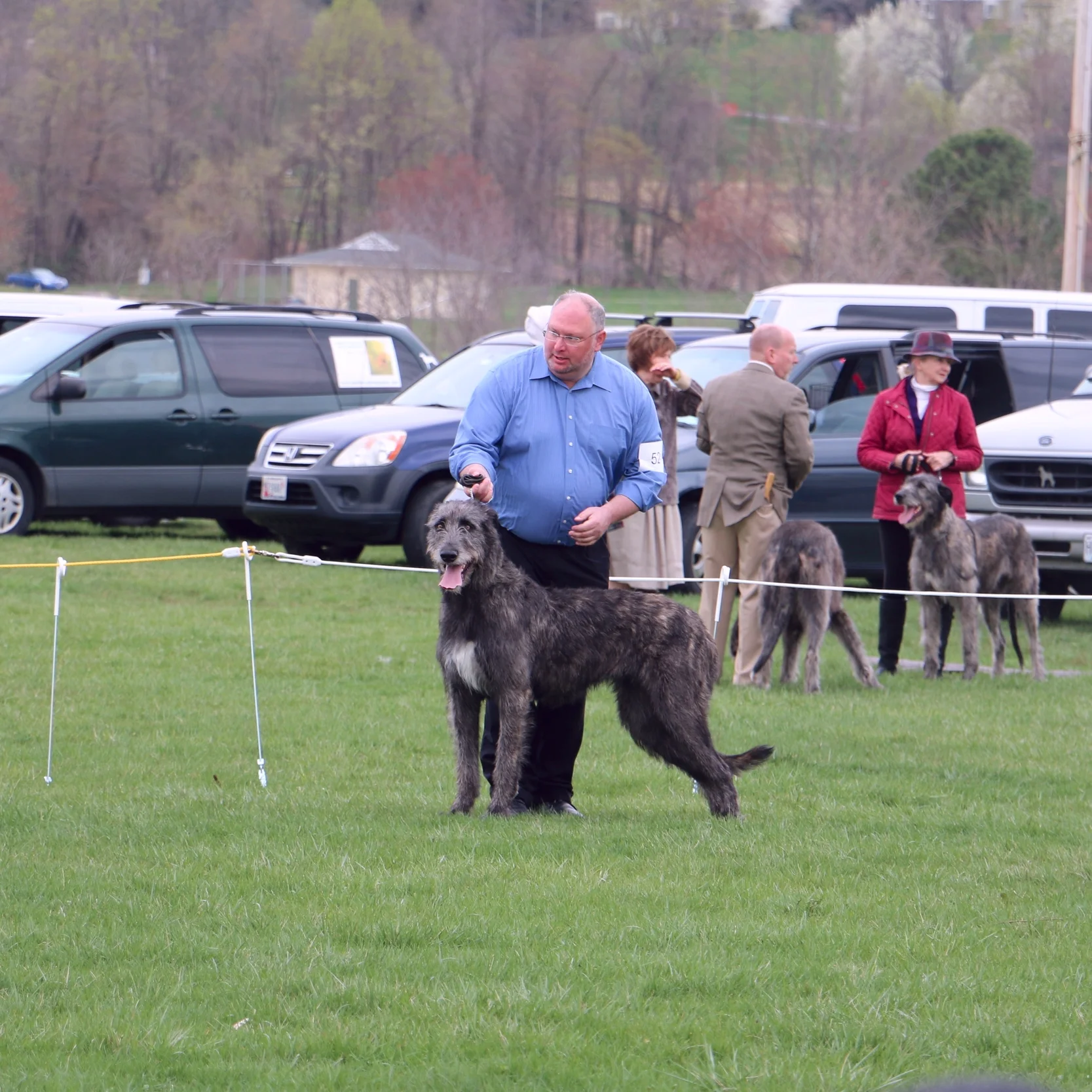 Ballyhara Kate 20 momths #2